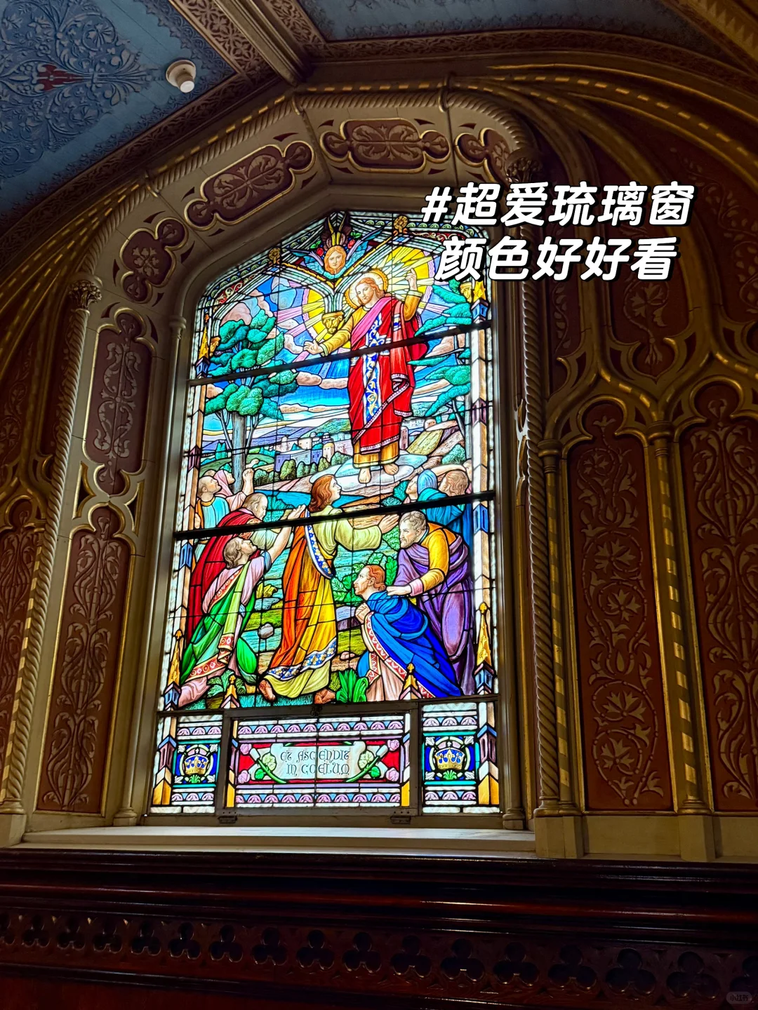 🇨🇦渥太华旅游打卡 半日游 太美啦
