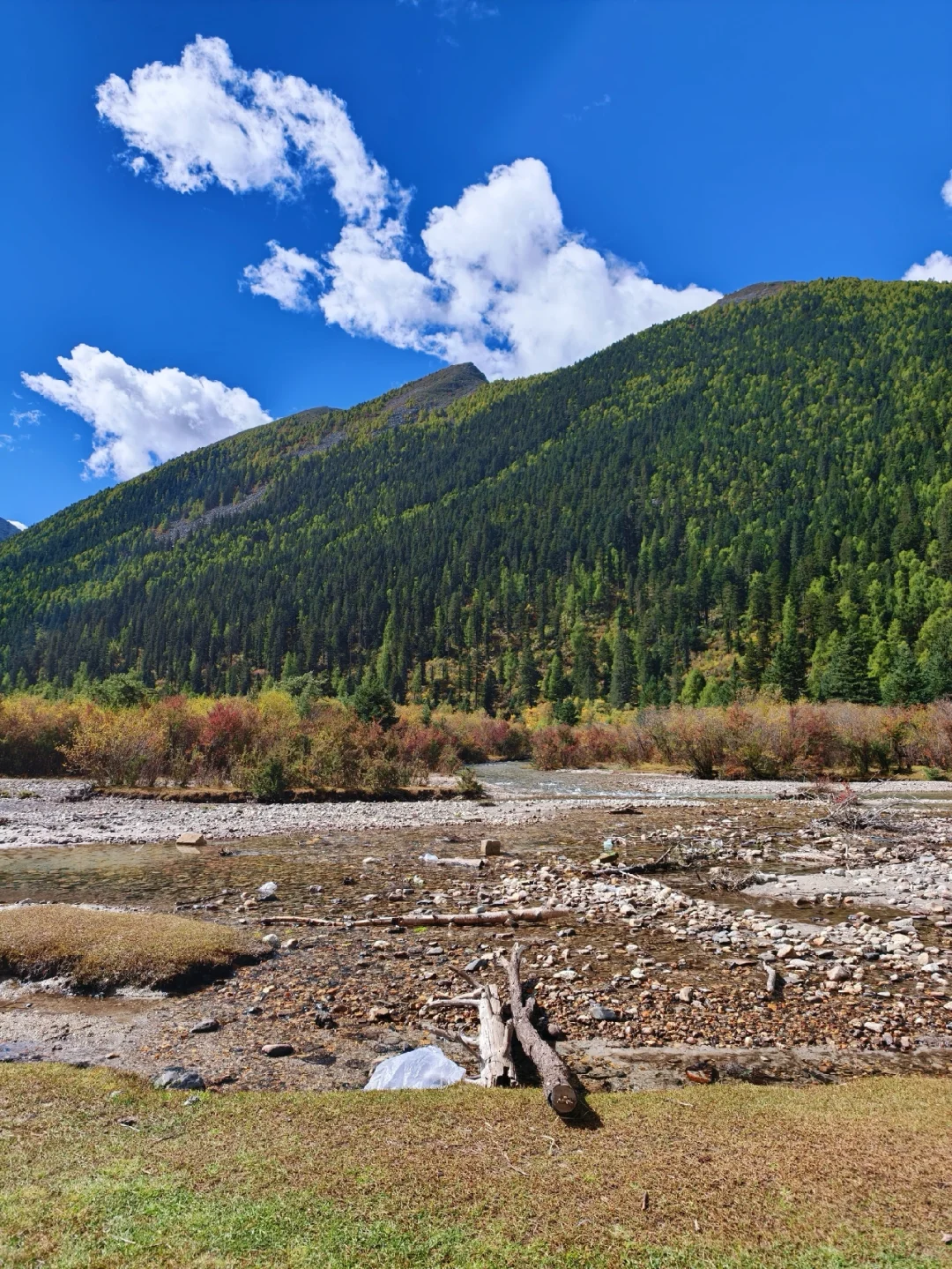 总要去一趟川西吧！这是亚拉雪山给的自由