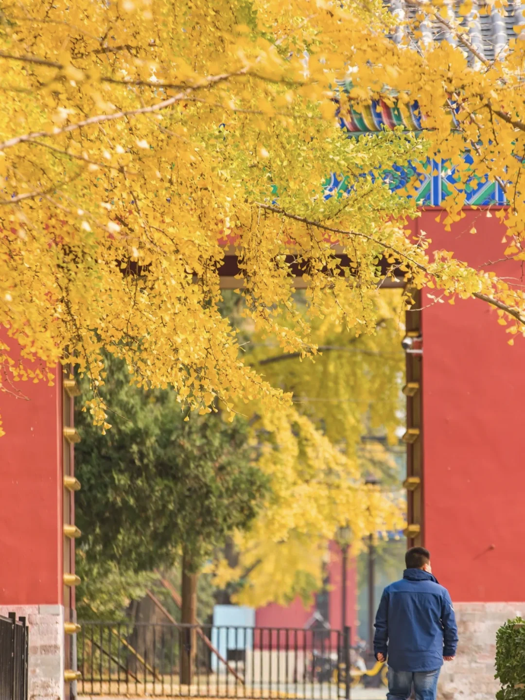 当秋风起🍂北京就变成了北平(附打卡点)