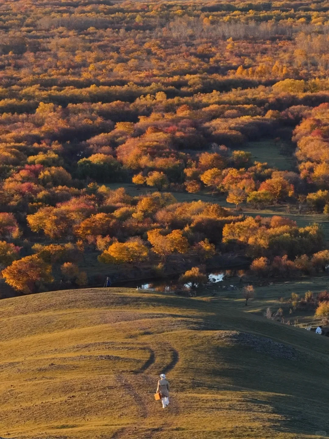 不敢相信!大兴安岭的尽头是“大海”