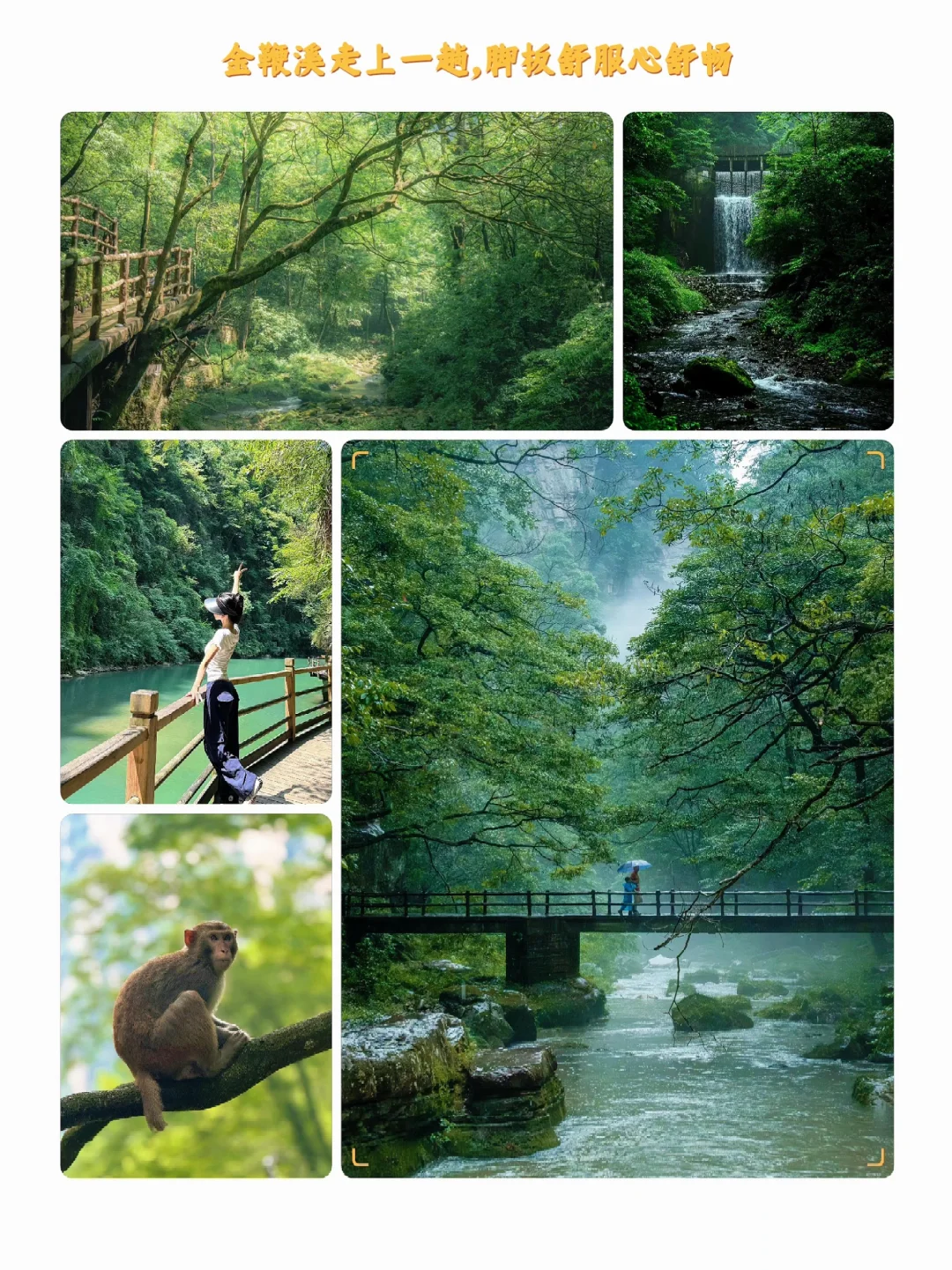 6天5晚玩转长沙→张家界→湘西🌈一价全含