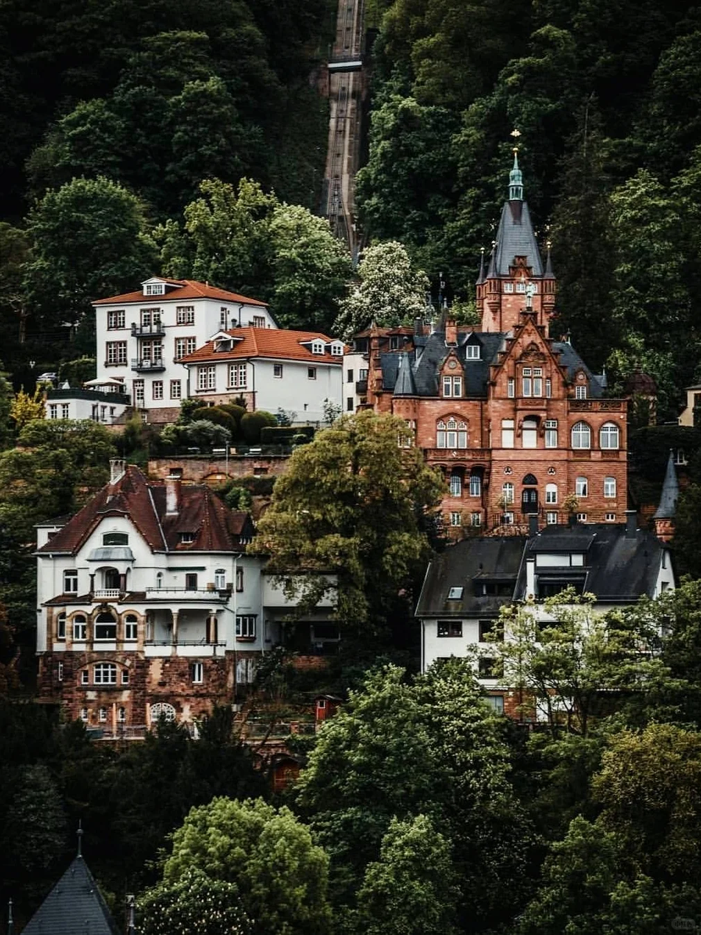 海德堡攻略|把心遗落在内卡河畔的浪漫古城