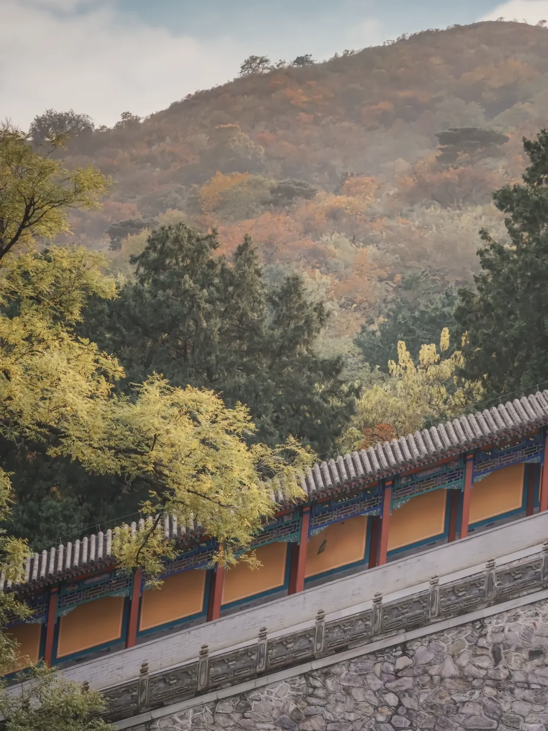 当秋风起🍂北京就变成了北平(附打卡点)