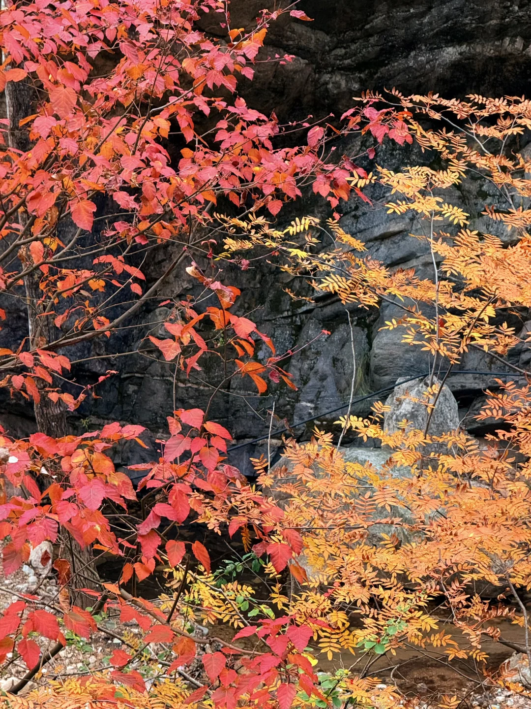 10.2石家庄阿勒泰杀疯了