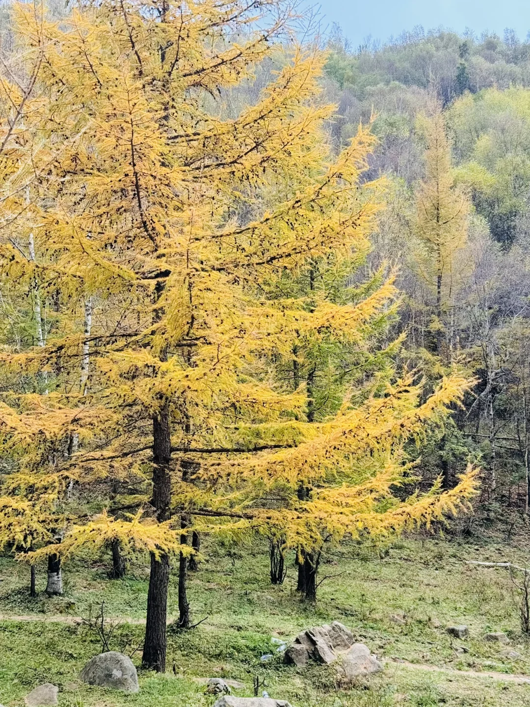 10.2石家庄阿勒泰杀疯了