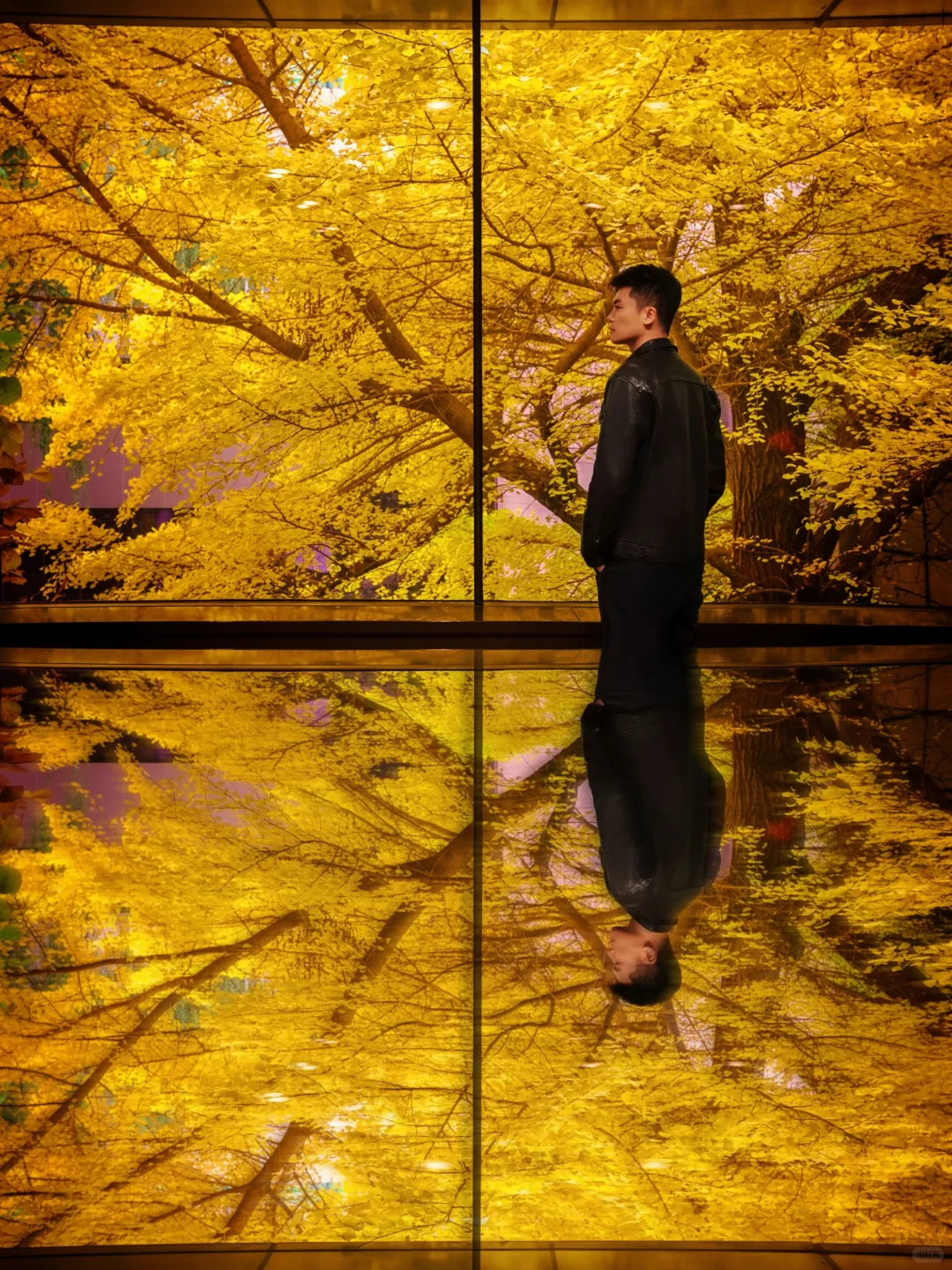 🍁一定要来北京感受一次老舍笔下的北平之秋