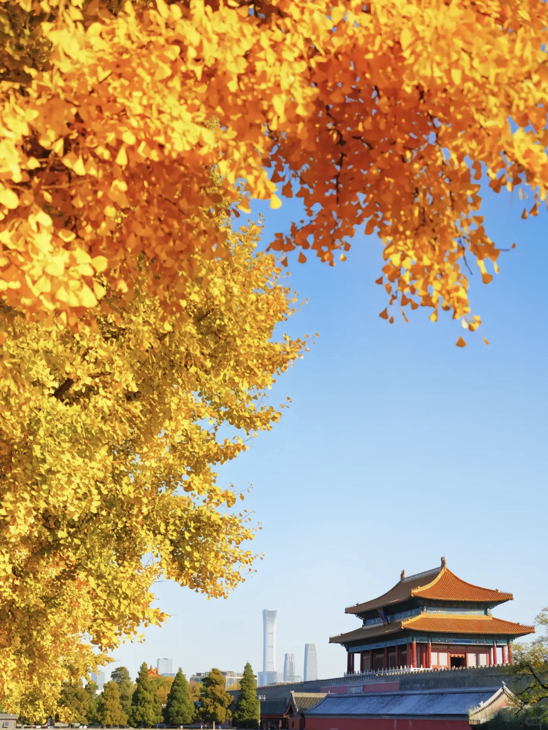 当秋风起🍂北京就变成了北平(附打卡点)