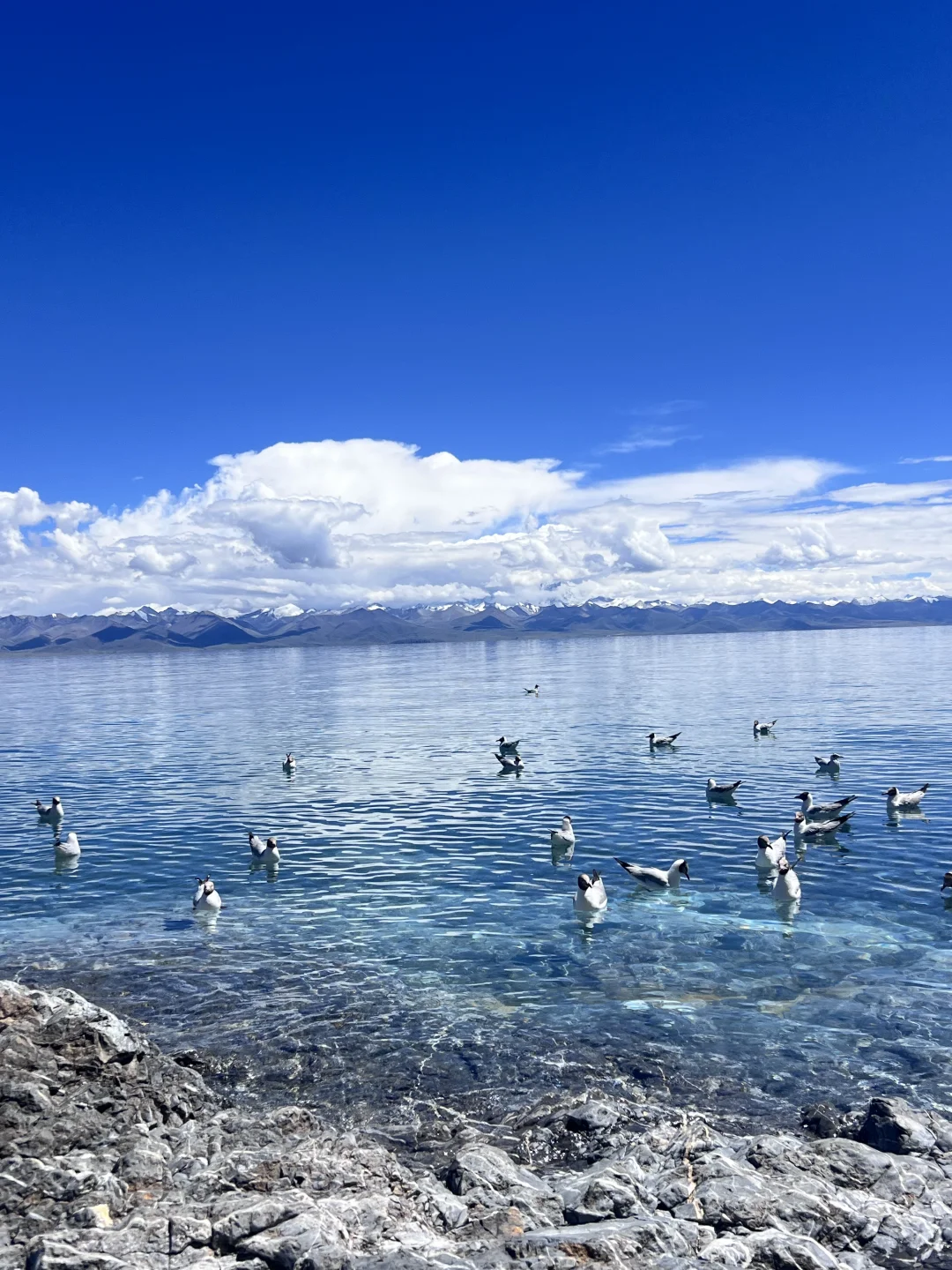 西藏的湖真的太震撼了！
