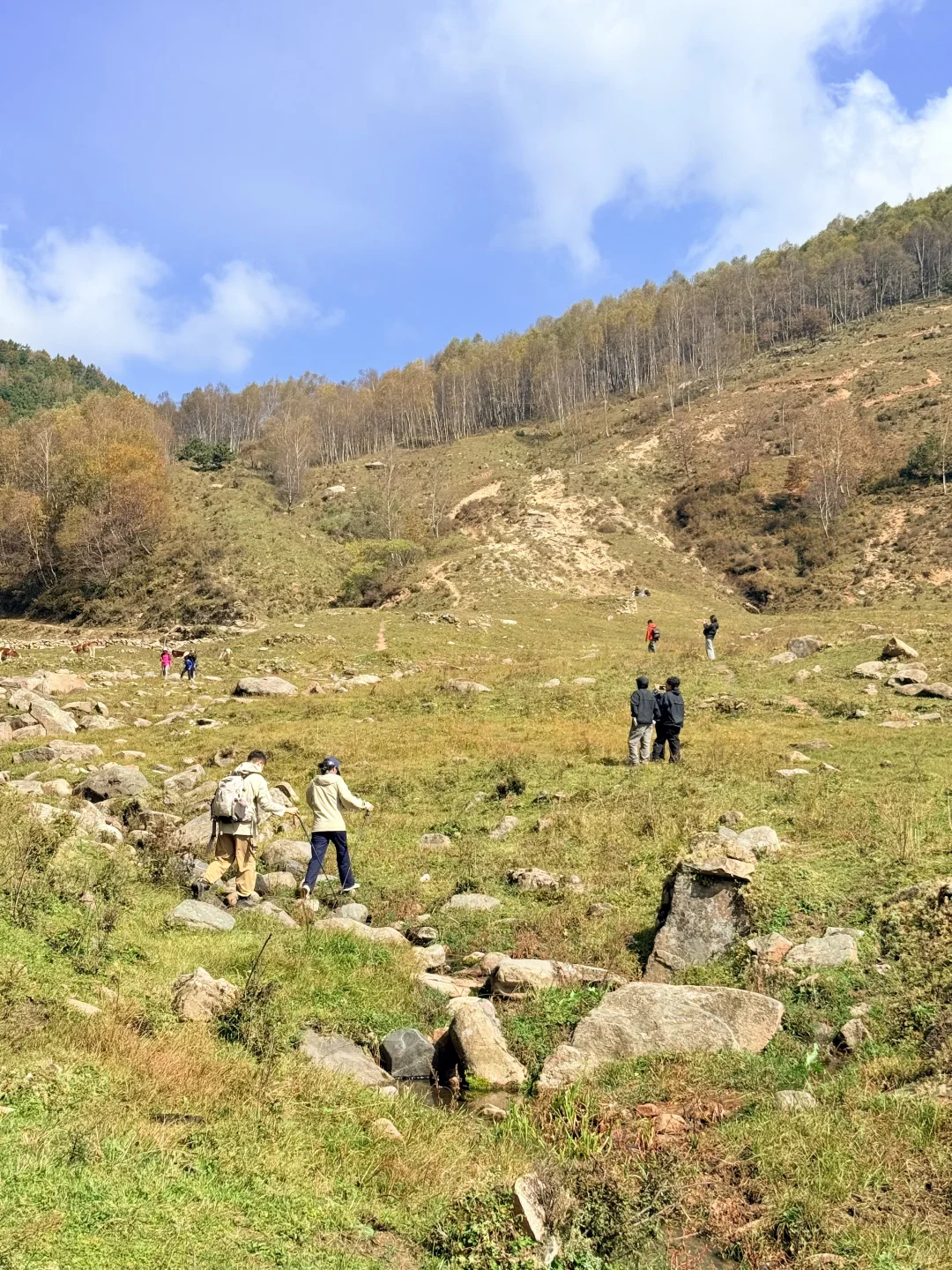 10.2石家庄阿勒泰杀疯了