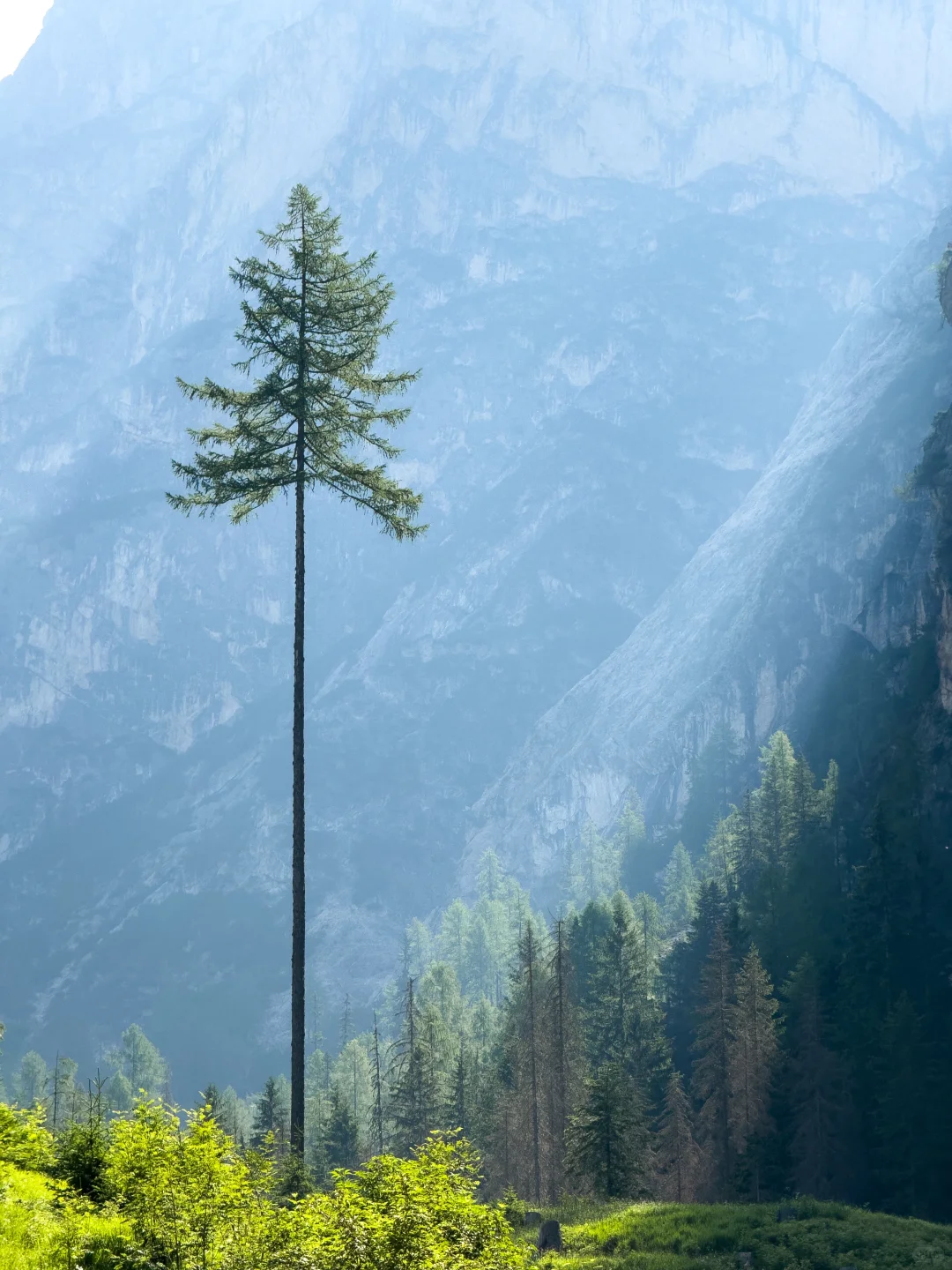 多洛米蒂|上帝遗留在阿尔卑斯的后花园⛰️