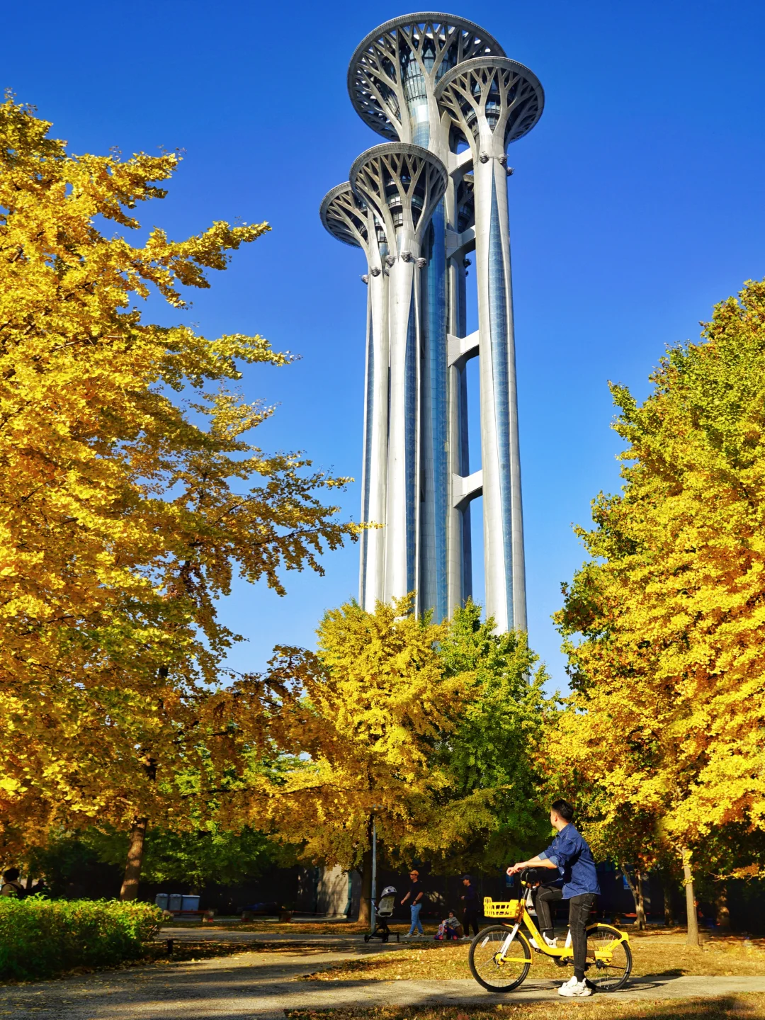 🍁一定要来北京感受一次老舍笔下的北平之秋