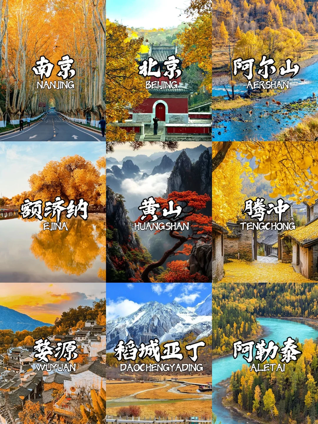 10-12月国内9个赏秋宝藏地🍂美到窒息~