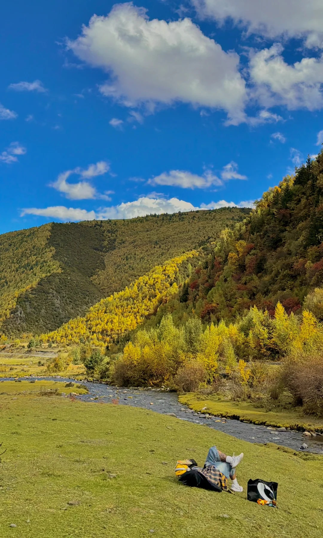10.8川西实况，油画彩林🖼️杀疯了！！！！！！！！！
