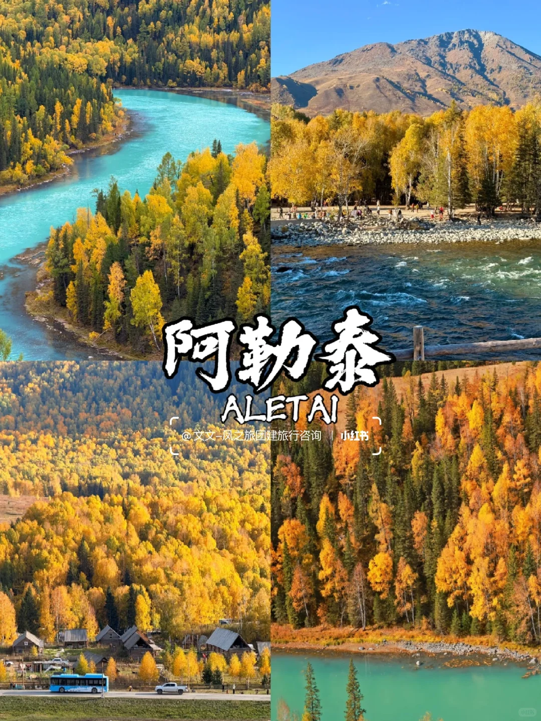 10-12月国内9个赏秋宝藏地🍂美到窒息~