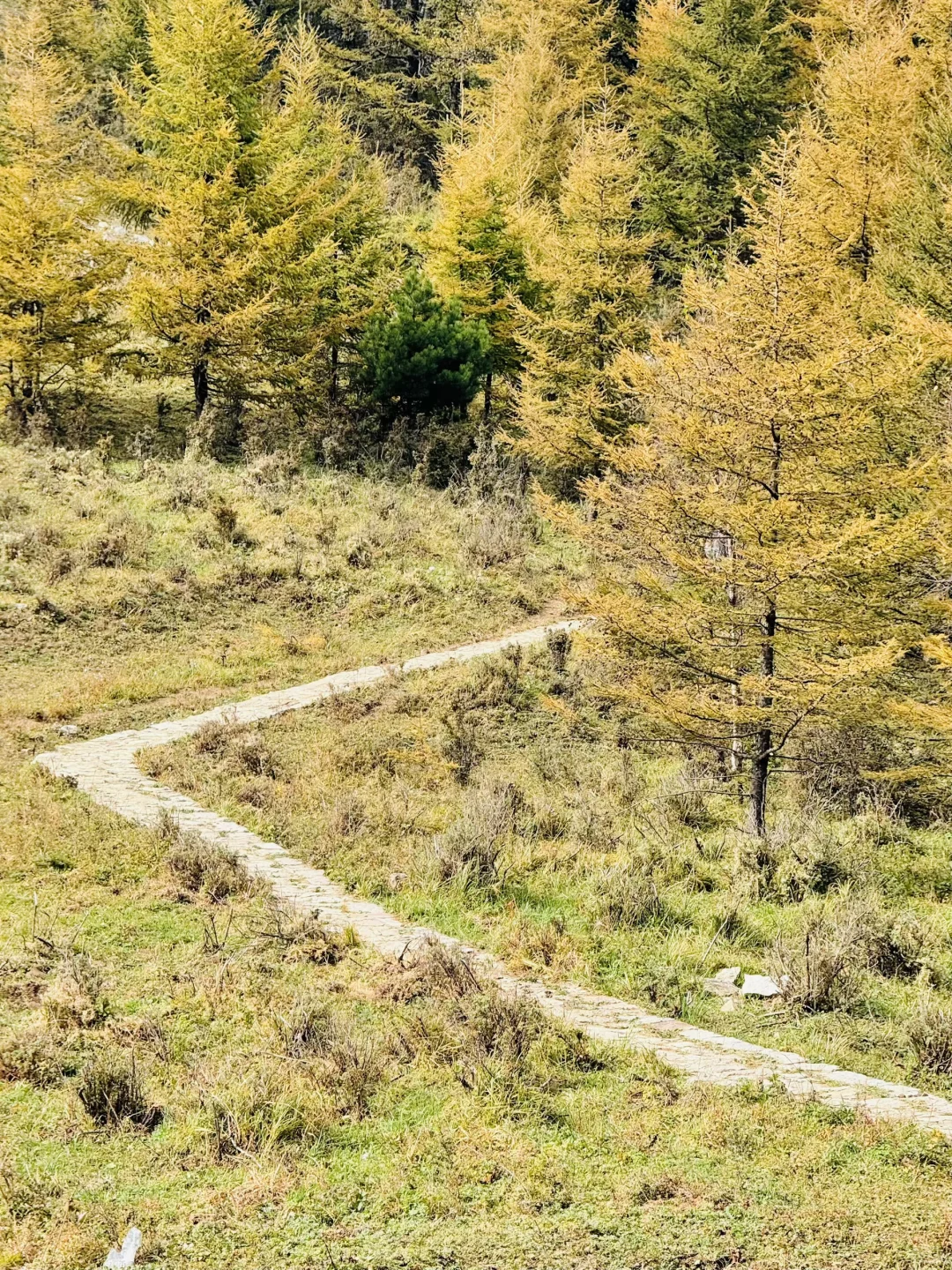 10.2石家庄阿勒泰杀疯了