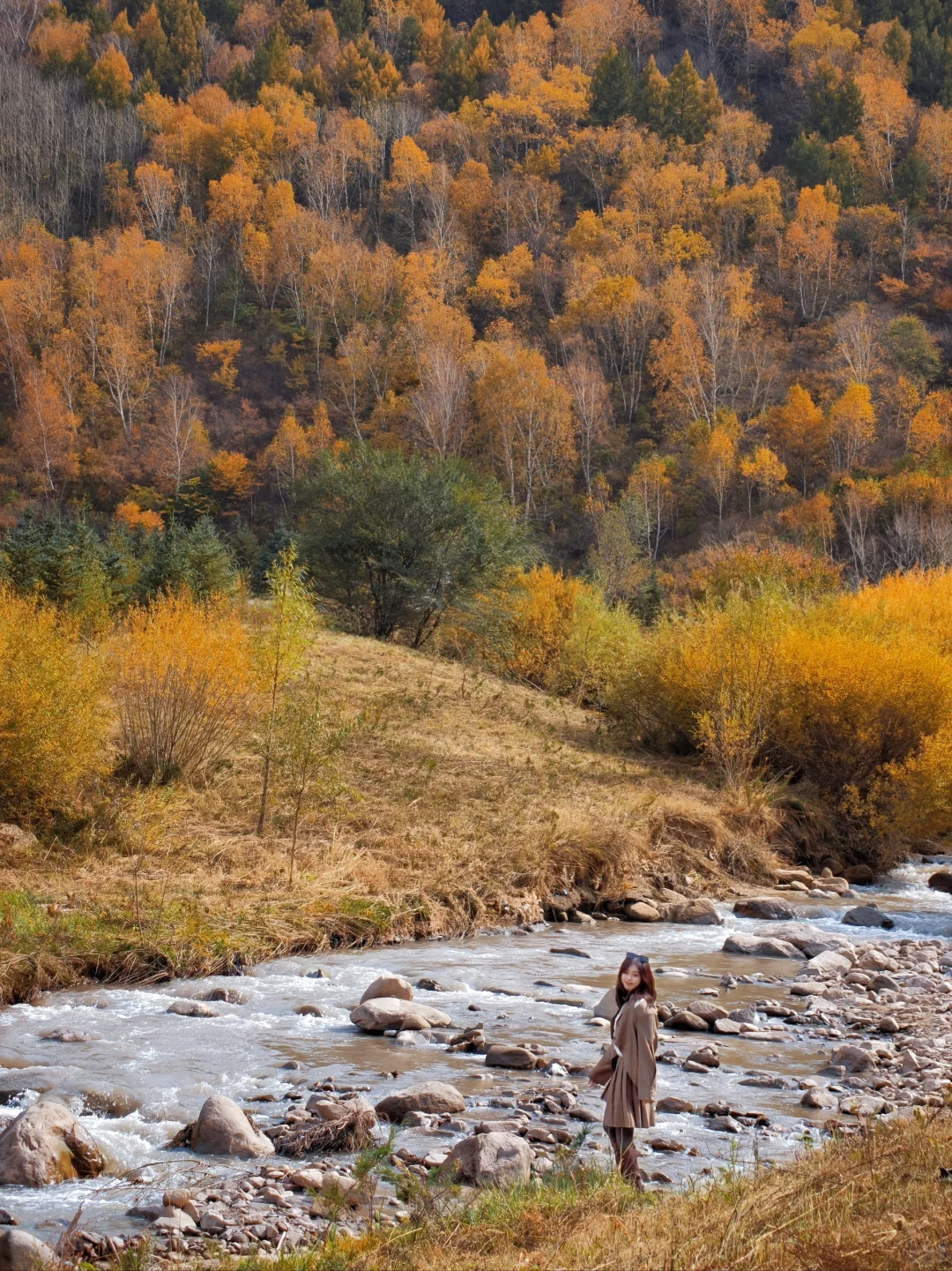 10月5日实拍，崇礼梧桐大道必冲，py圈 99+