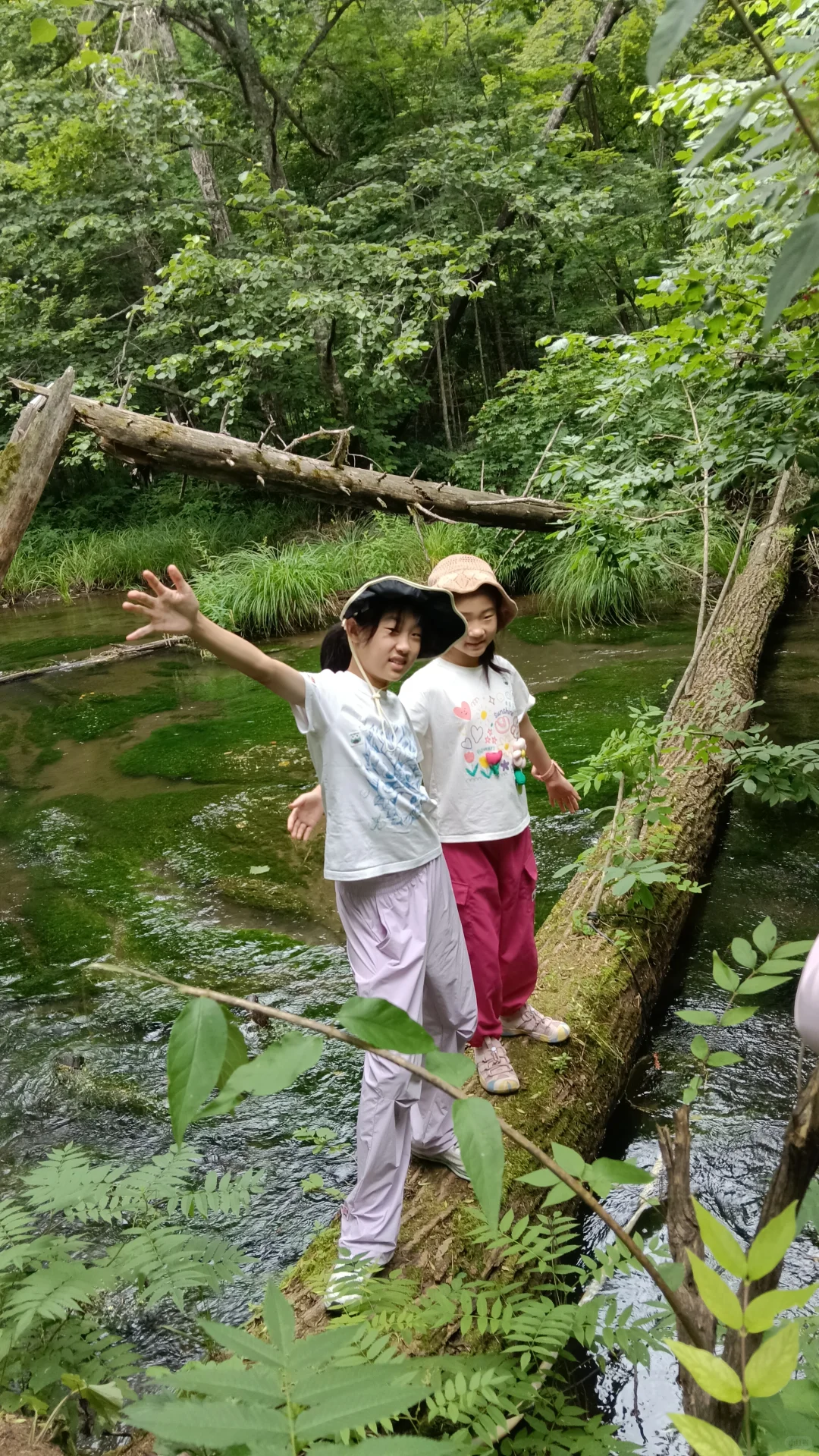 长白山九溪听泉游玩攻略。