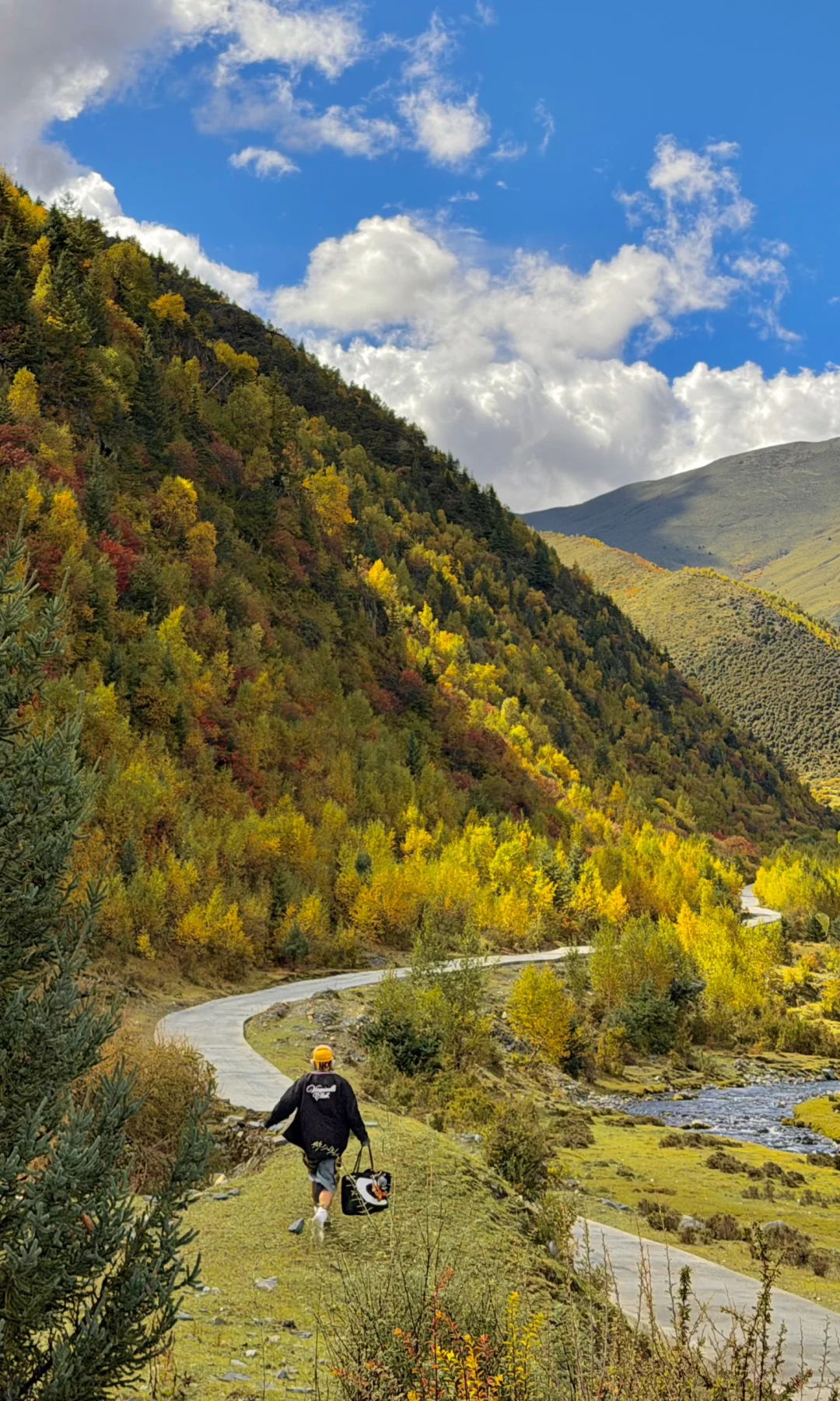 10.8川西实况，油画彩林🖼️杀疯了！！！！！！！！！