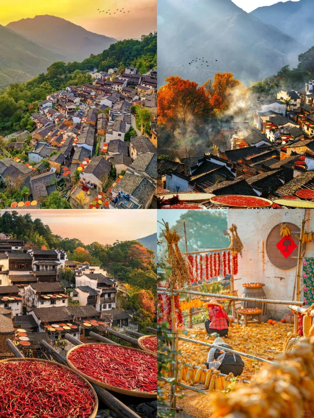 官宣❗️婺源2025赏秋攻略出炉｜时间表