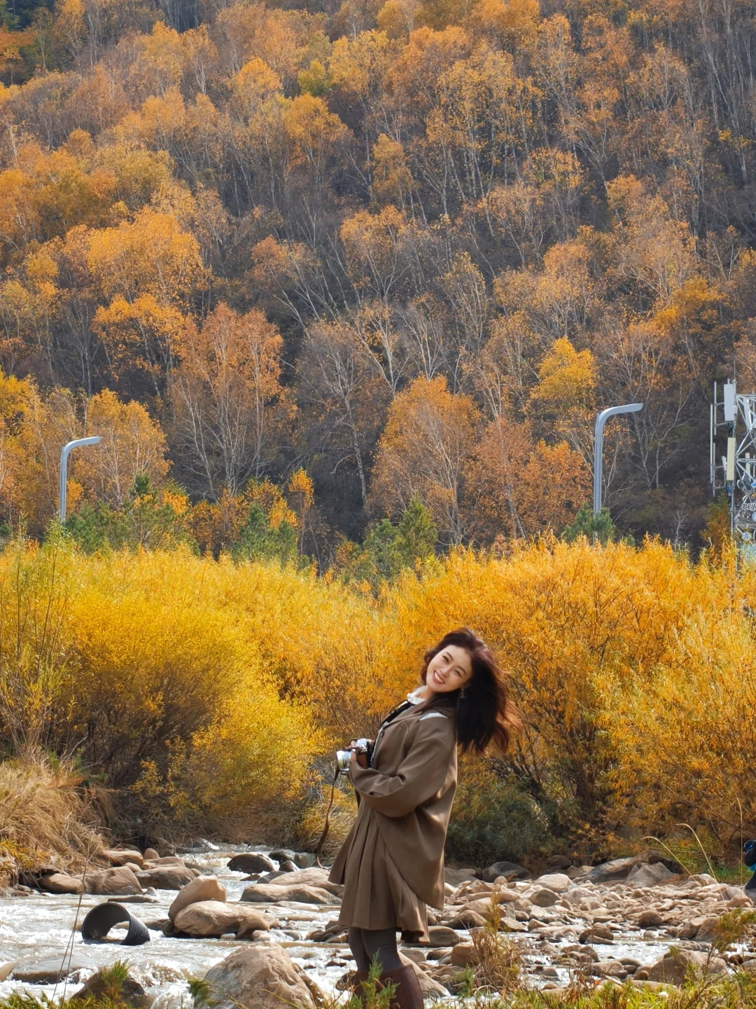 10月5日实拍，崇礼梧桐大道必冲，py圈 99+