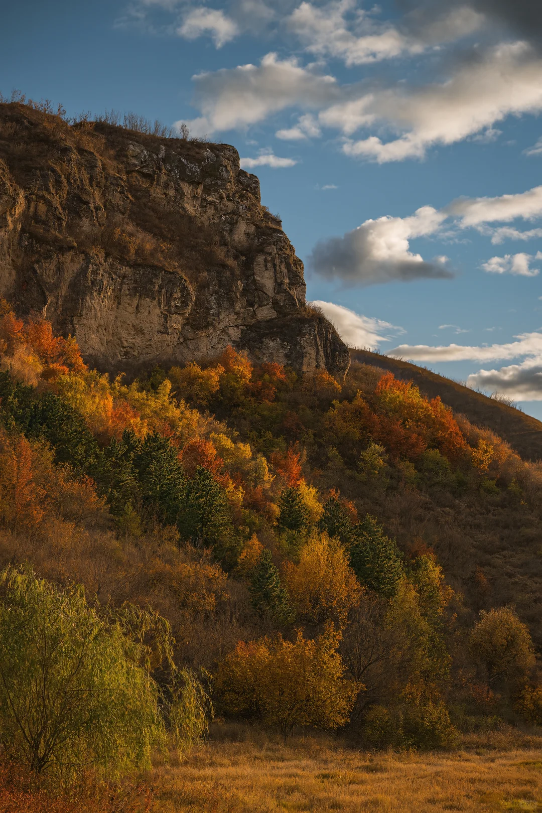 逃离人海!京郊这条“百里画廊”美成油画
