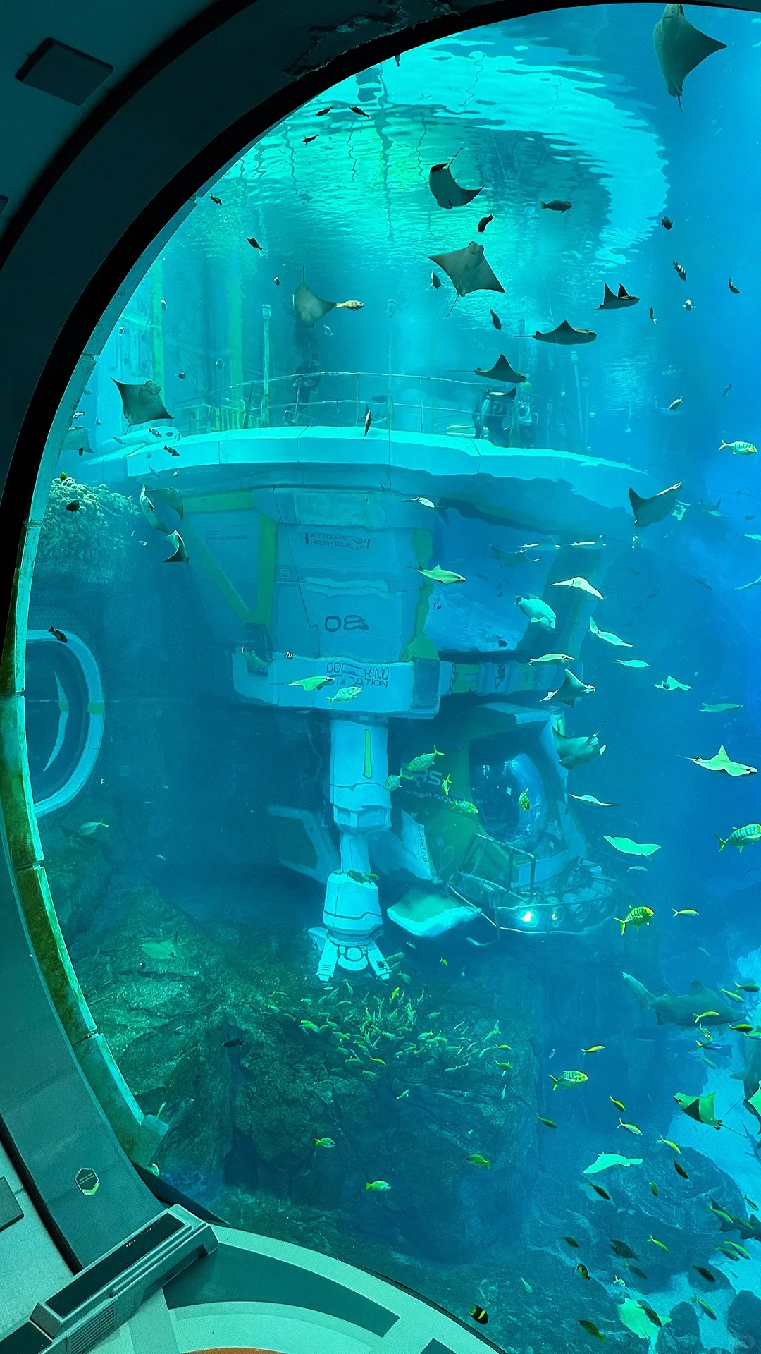 🐳 Sea World，全球最大海洋世界太震撼