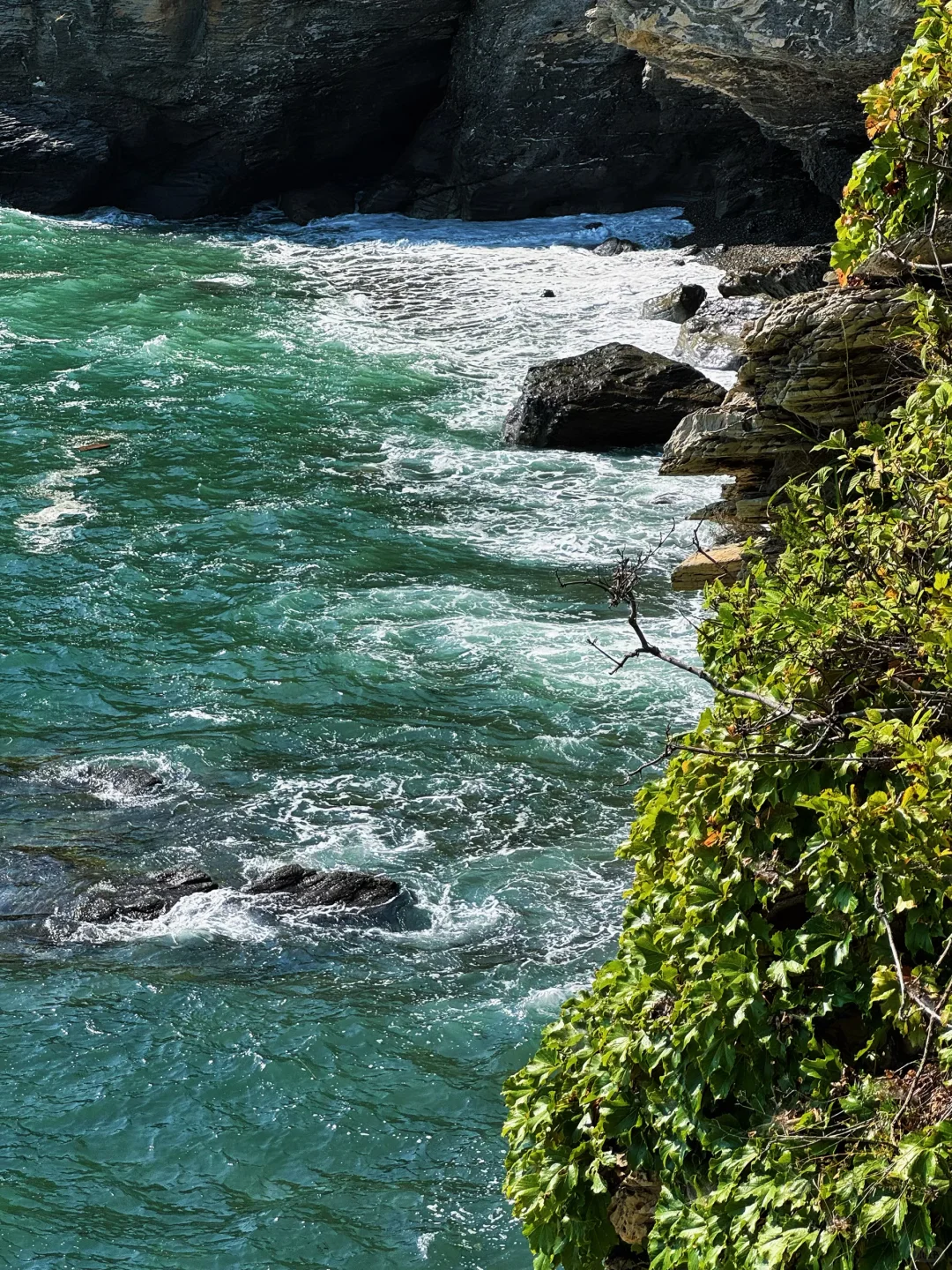 :🌊在大连 淡人48h旅游攻略(附详细路线时间