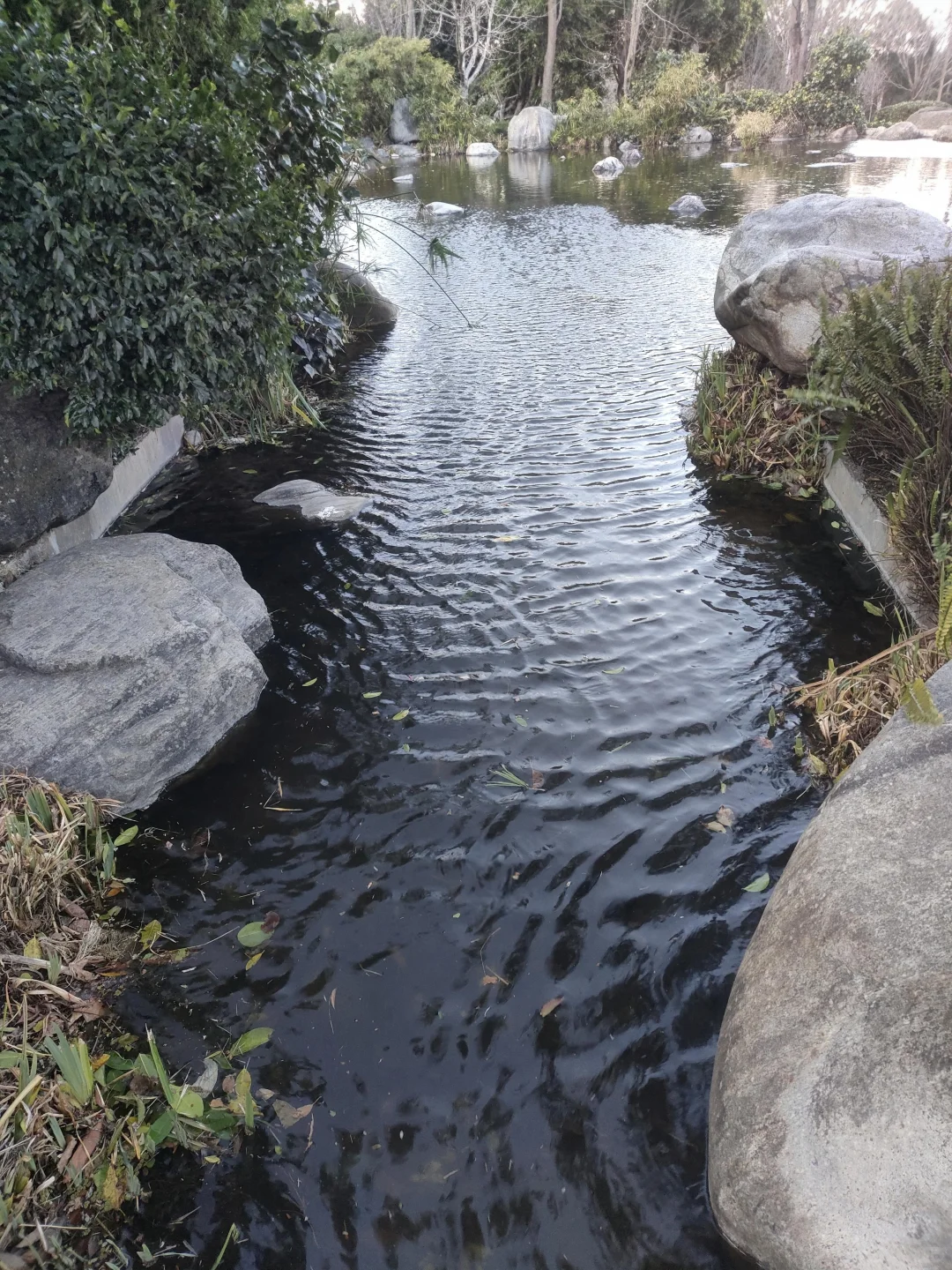 国内旅游天花板非云南莫属