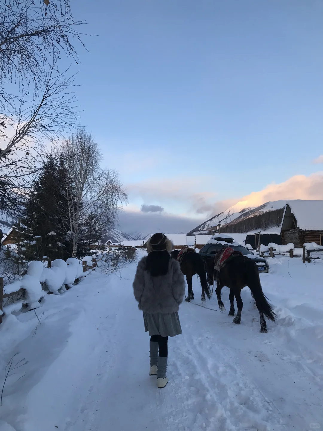 我的冬季阿勒泰自由行攻略！！！❄️