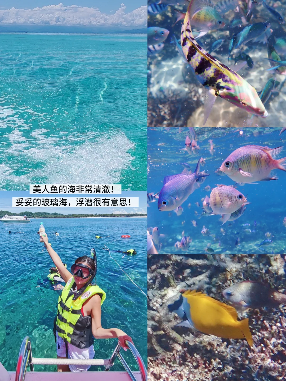 亚庇+仙本那5天4晚攻略！这样玩真的好香！