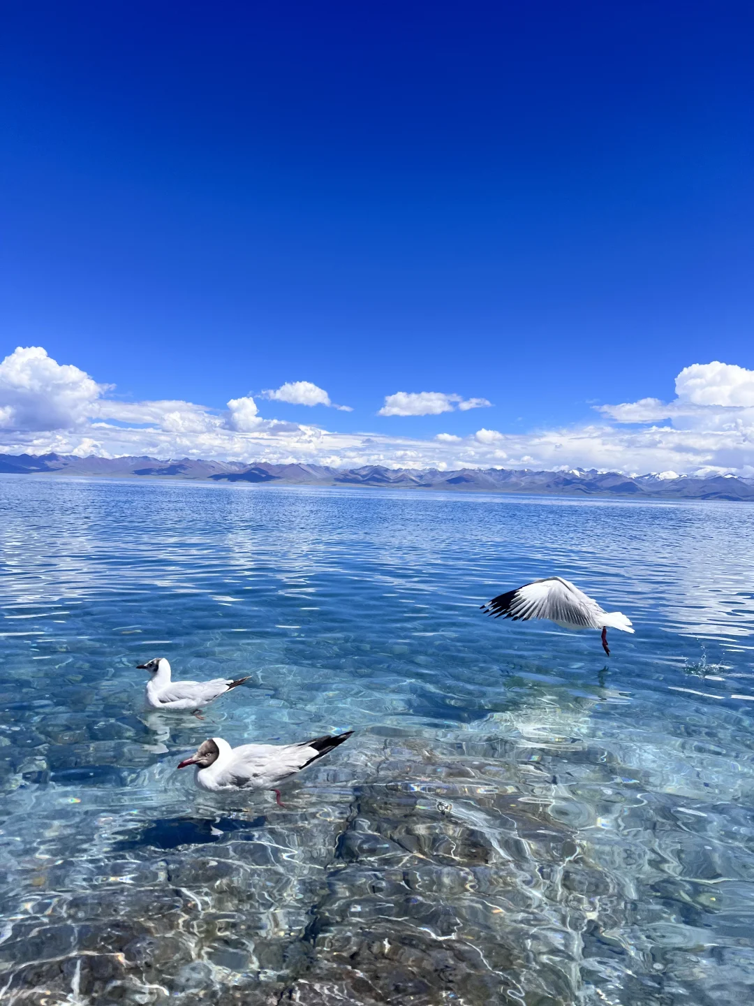 西藏的湖真的太震撼了！