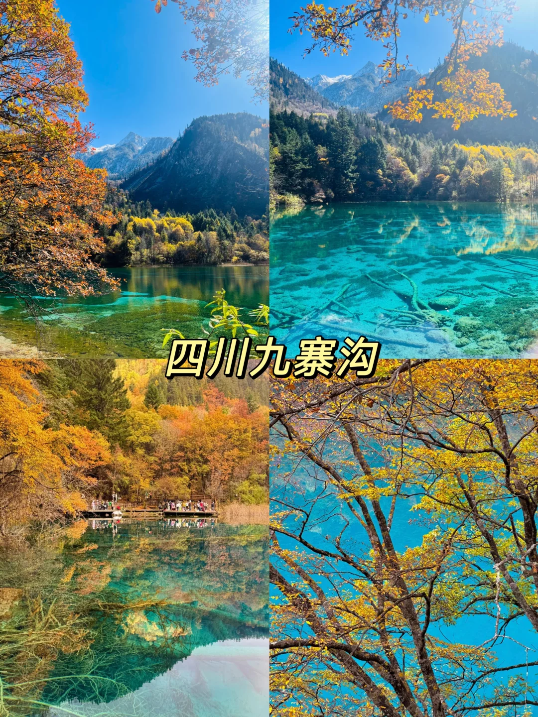 国内秋天必去8大旅游地攻略！