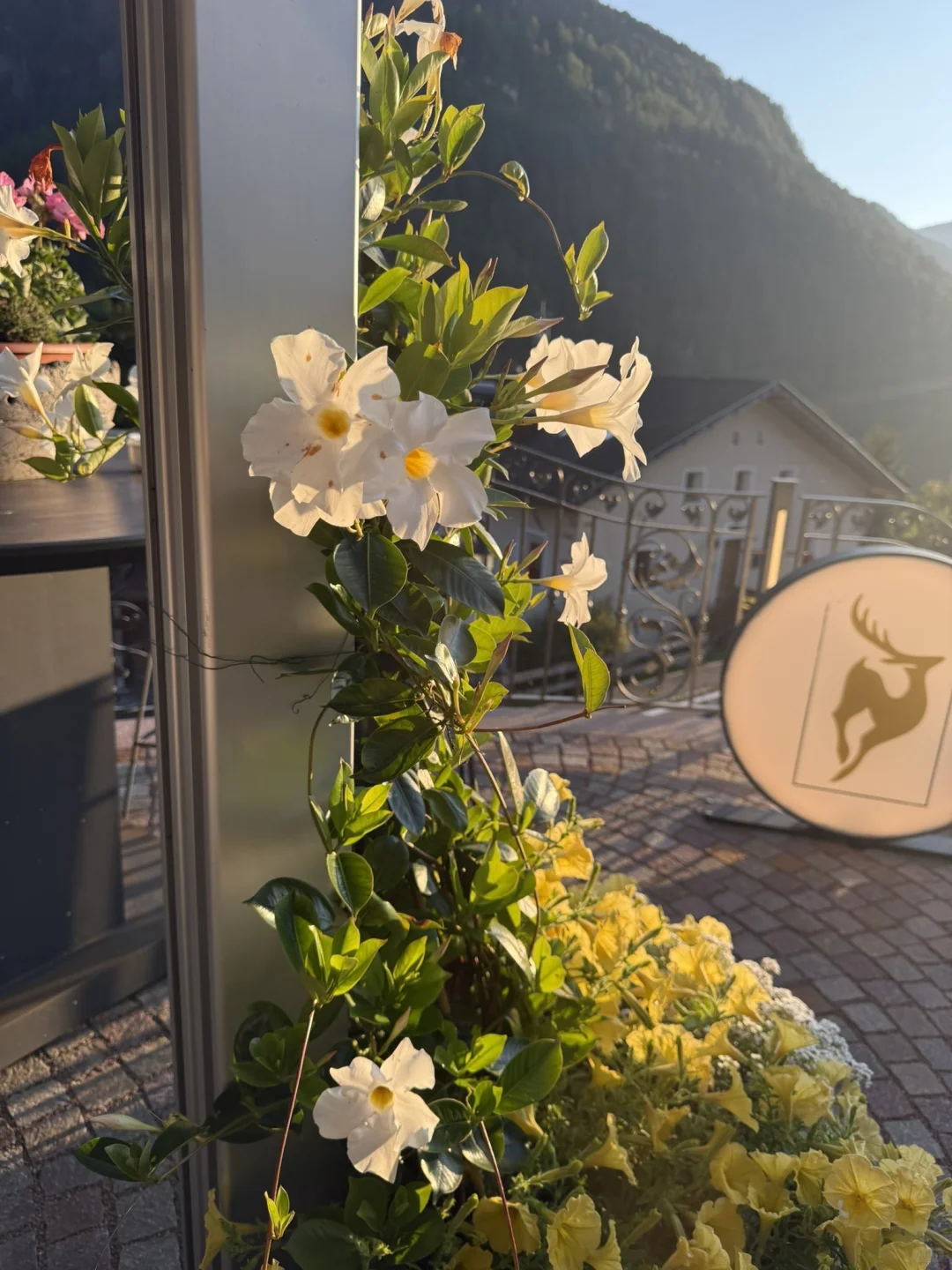 多洛米蒂|上帝遗留在阿尔卑斯的后花园⛰️