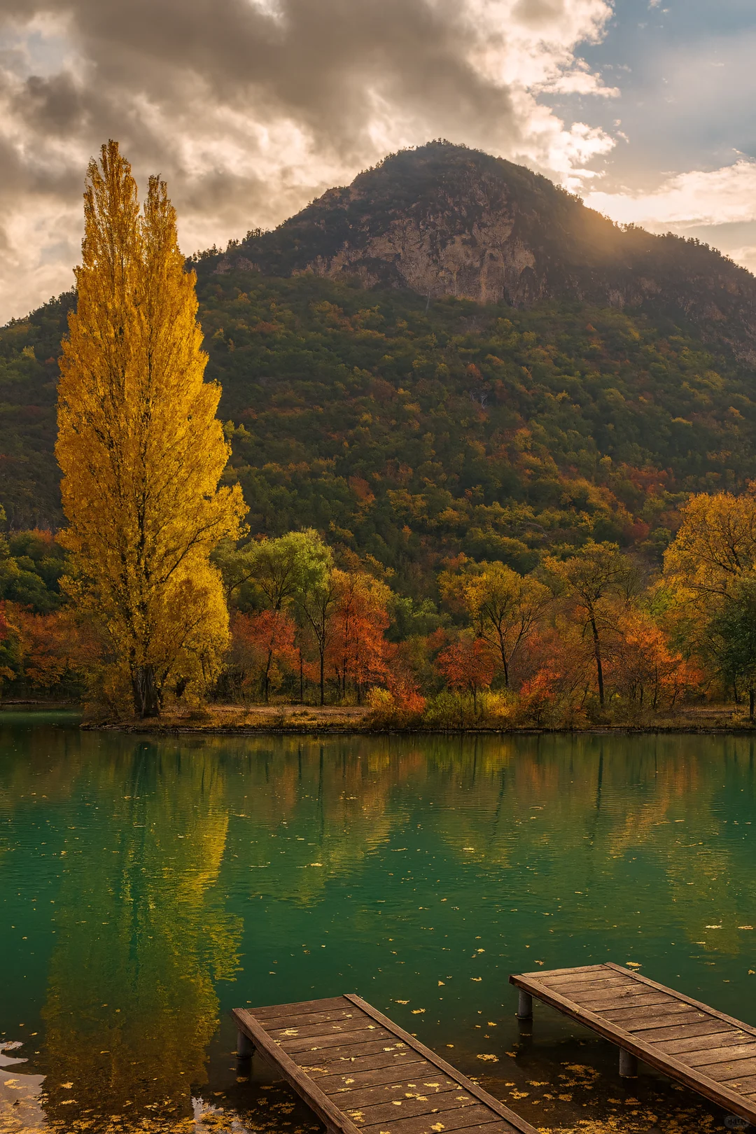逃离人海!京郊这条“百里画廊”美成油画