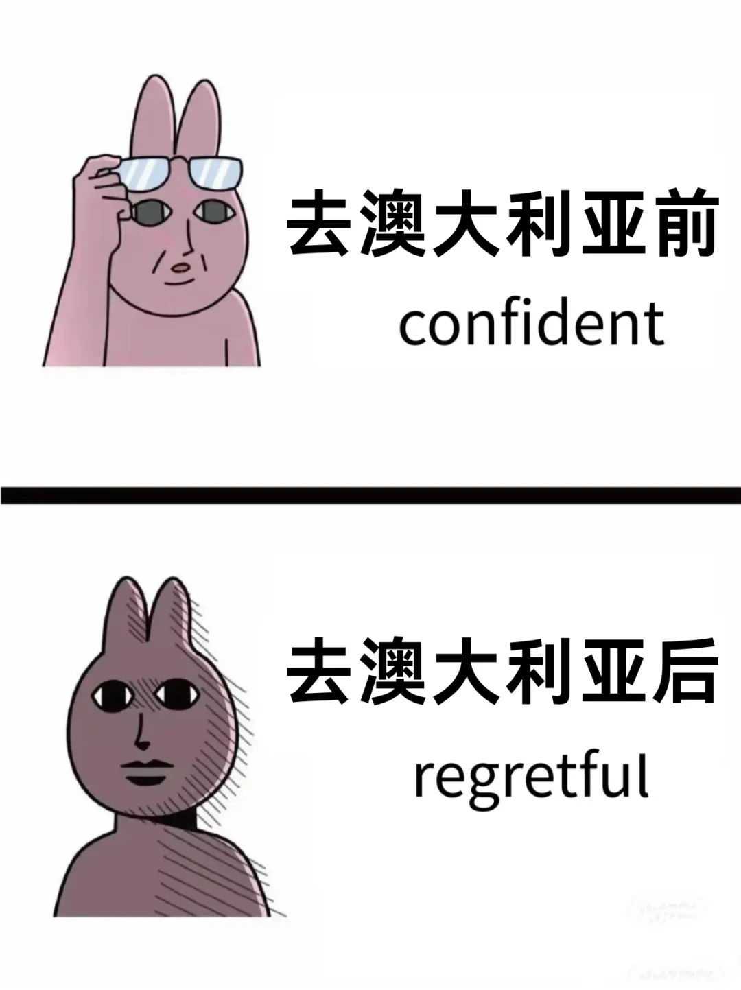 8-10月计划去澳洲的姐妹,能帮一个是一个😭