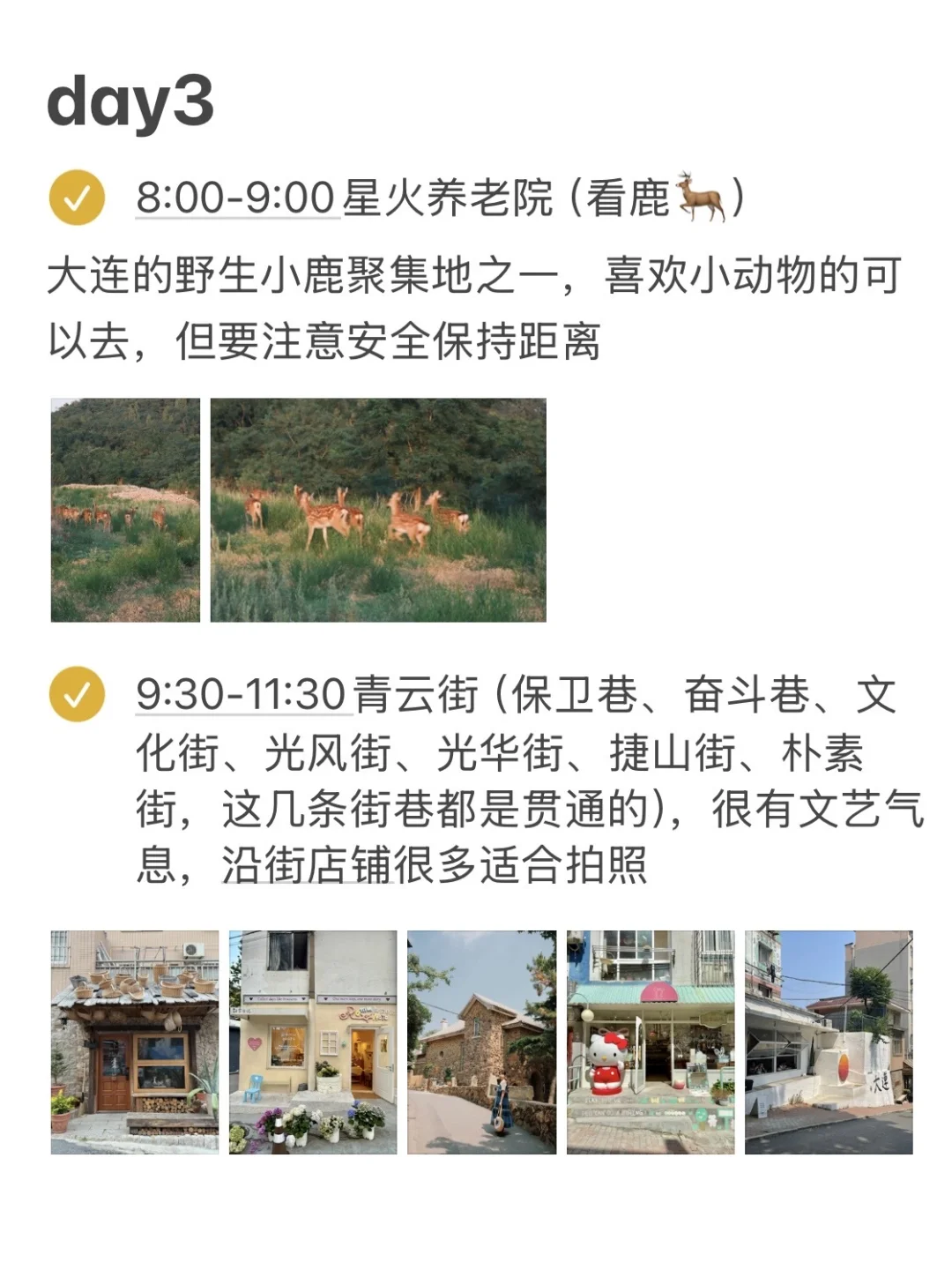 淡人在大连的72h旅游攻略🌊