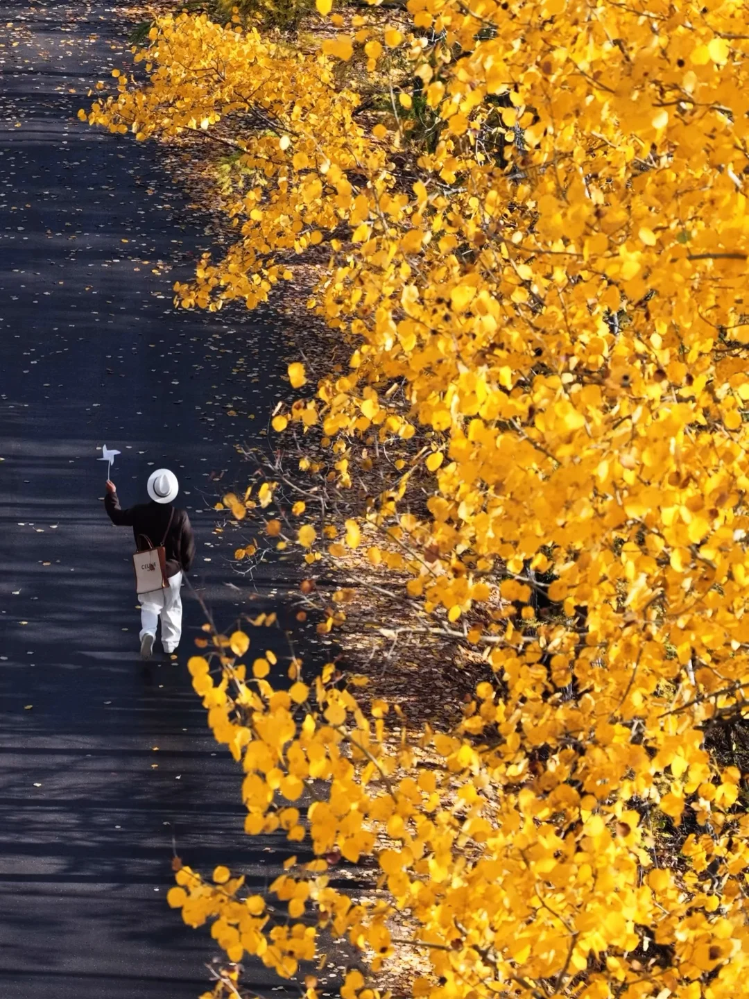 不敢相信!大兴安岭的尽头是“大海”