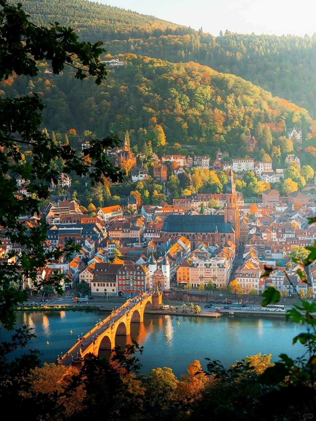 海德堡攻略|把心遗落在内卡河畔的浪漫古城
