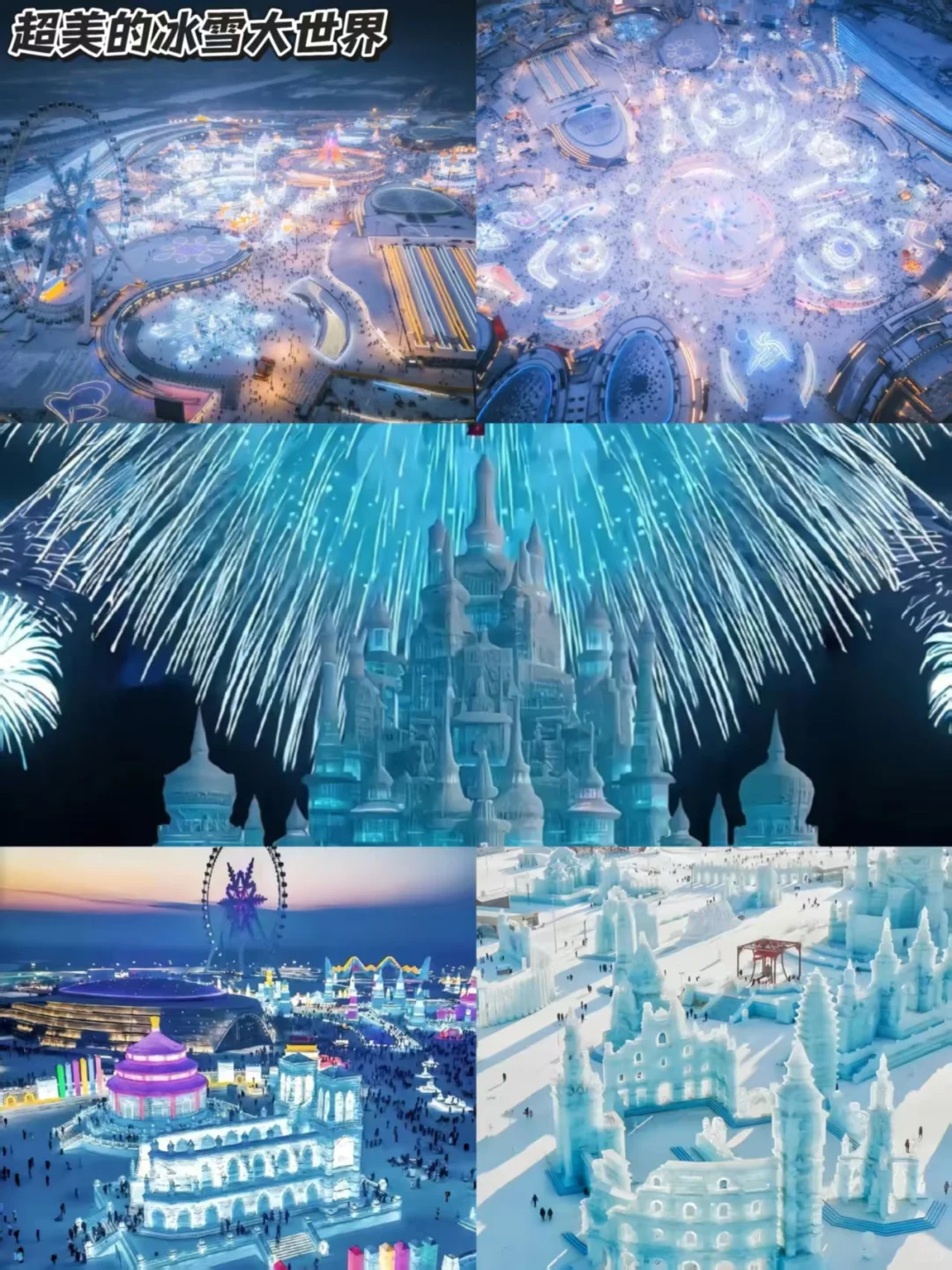🇲🇾南方小土豆的快乐追雪日记❄️