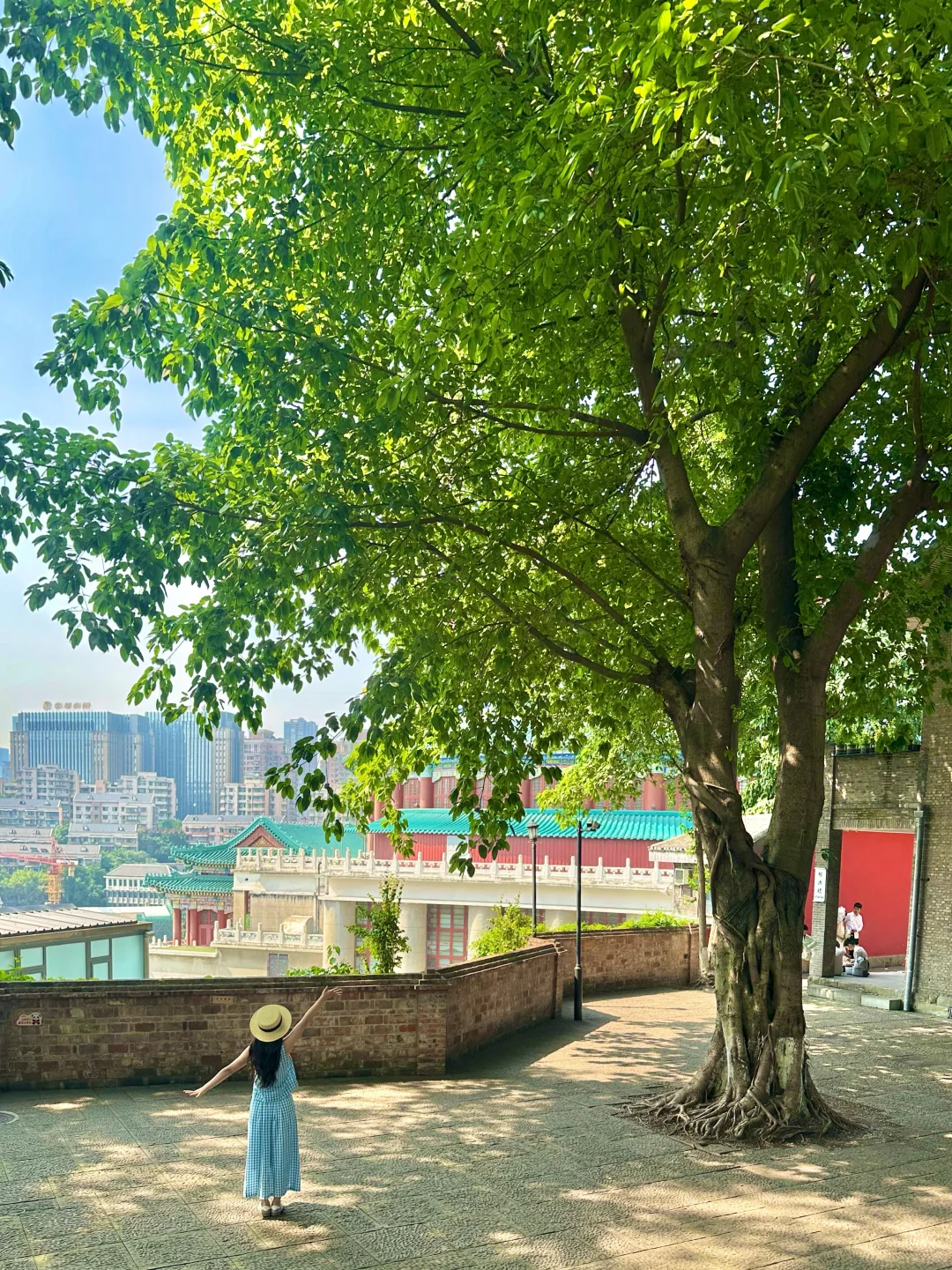 为了这16张live图!我专门来了趟重庆!附机位