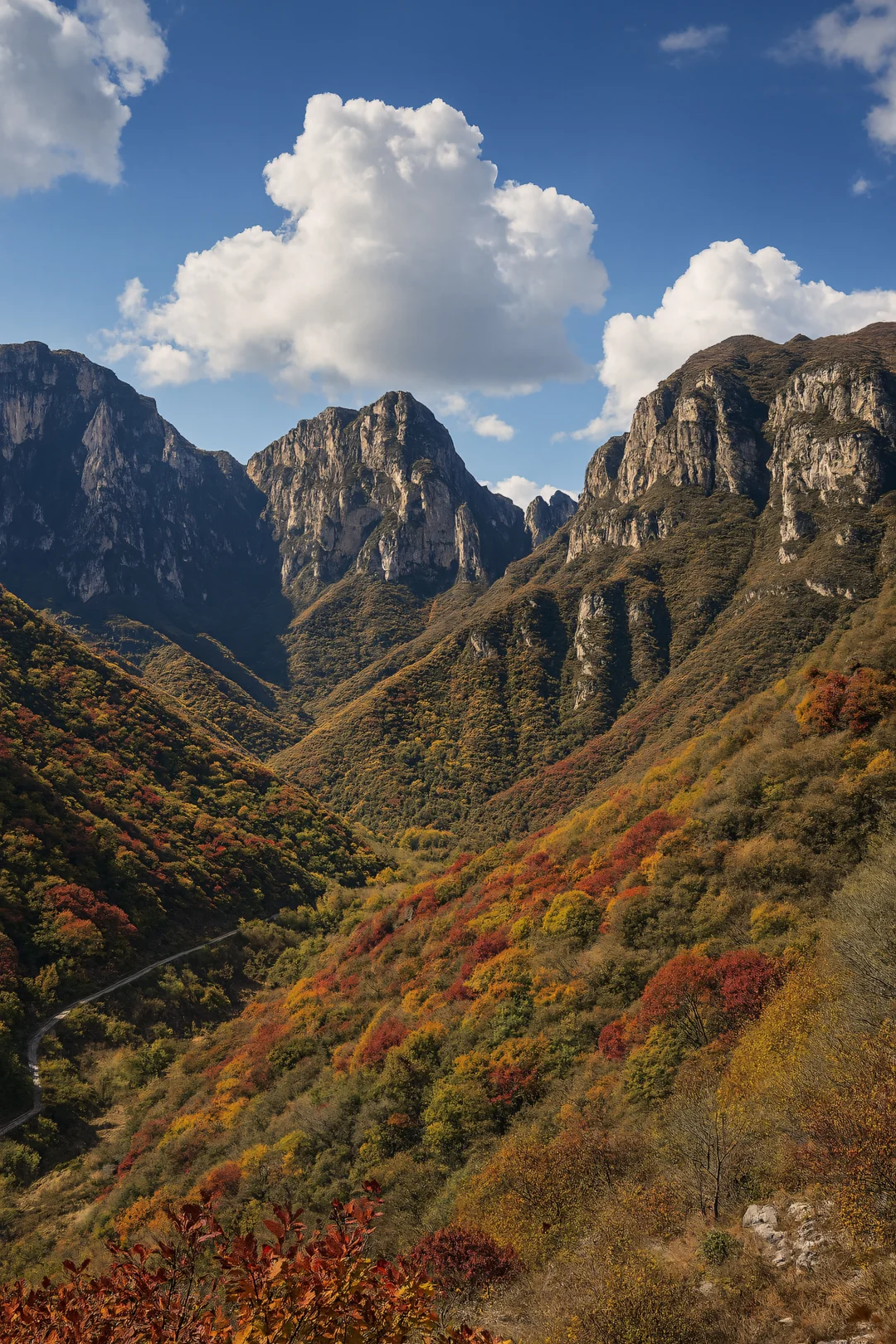 不去香山！北京私藏的红叶秘境，氛围感绝了