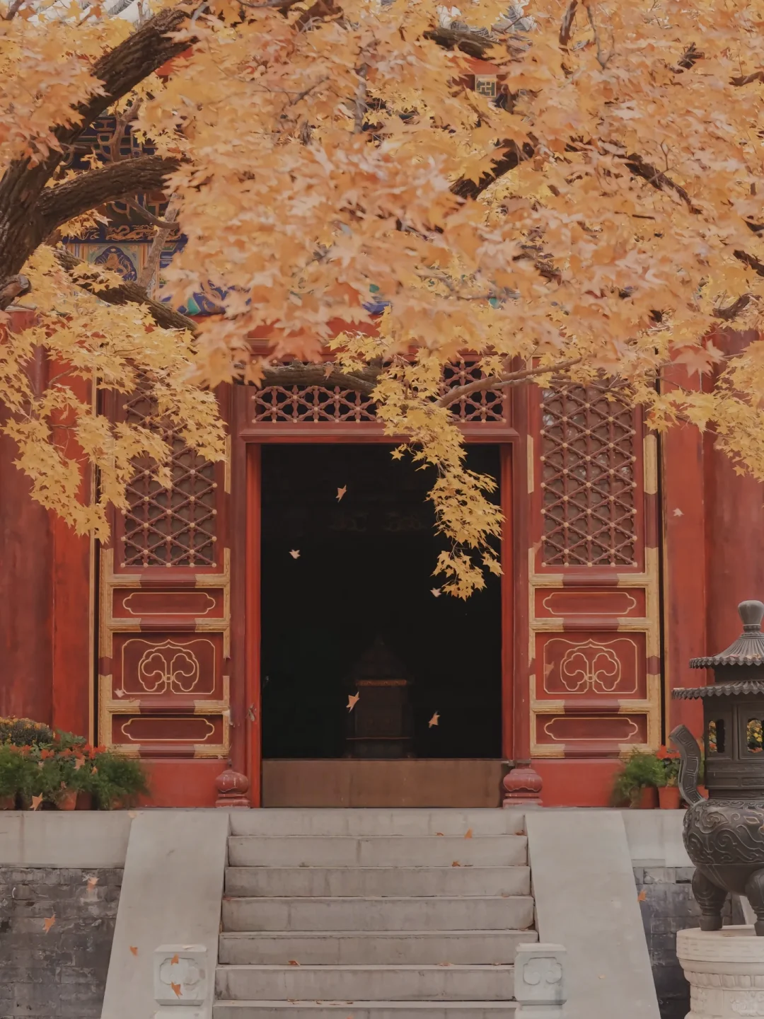 当秋风起🍂北京就变成了北平(附打卡点)