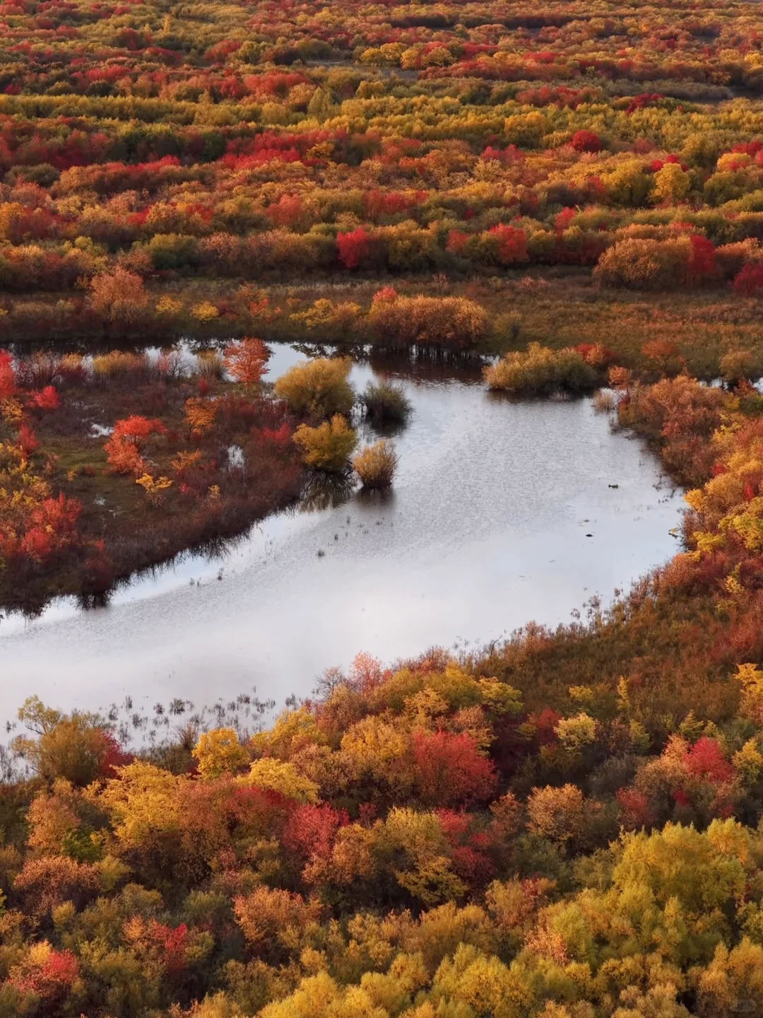 不敢相信!大兴安岭的尽头是“大海”