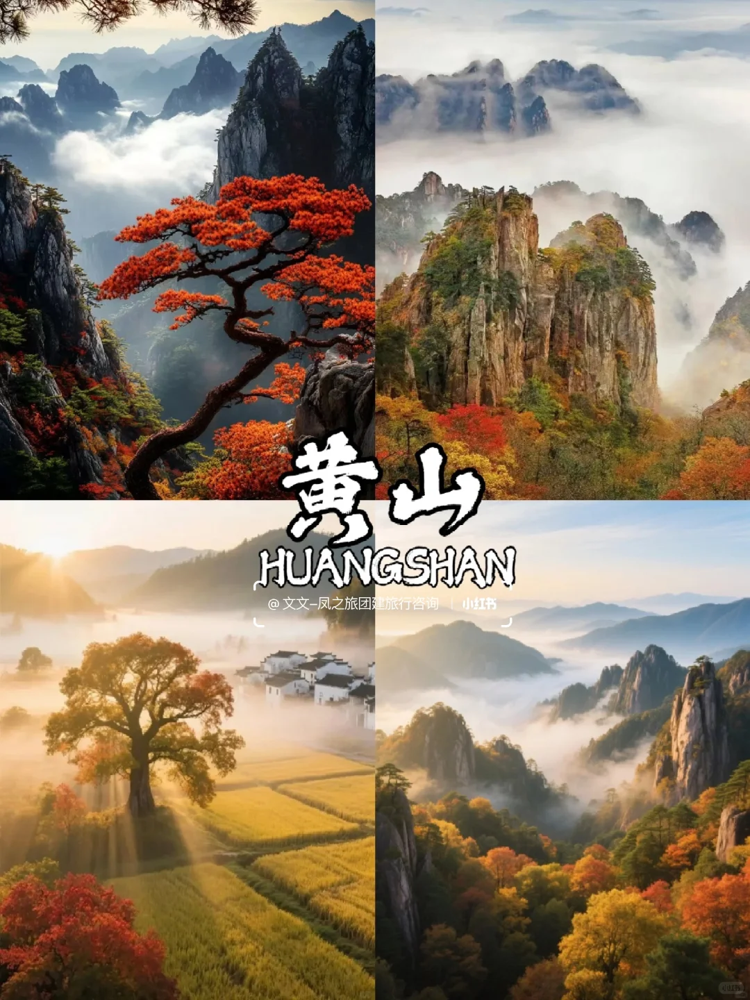 10-12月国内9个赏秋宝藏地🍂美到窒息~