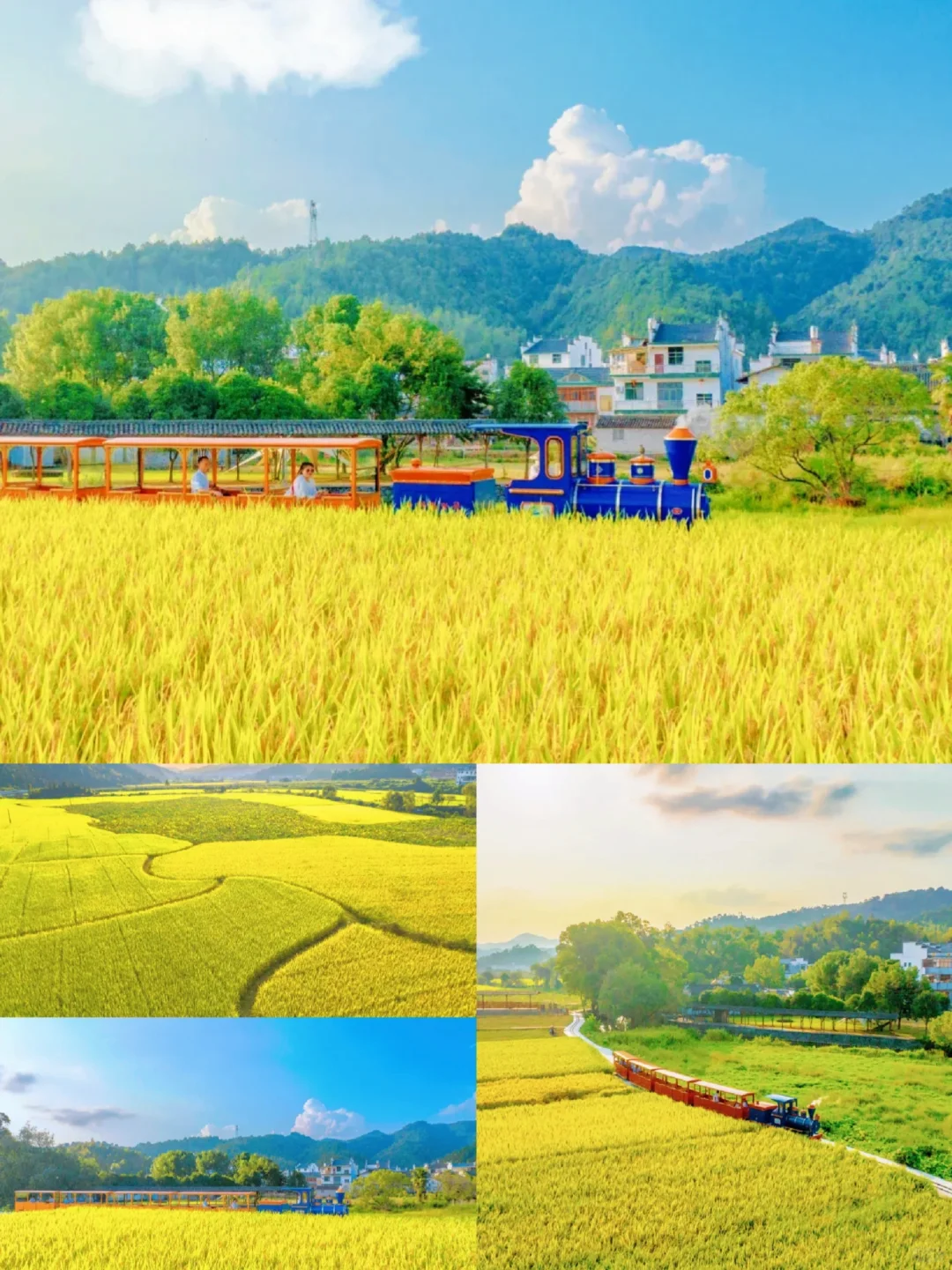 官宣❗️婺源2025赏秋攻略出炉｜时间表