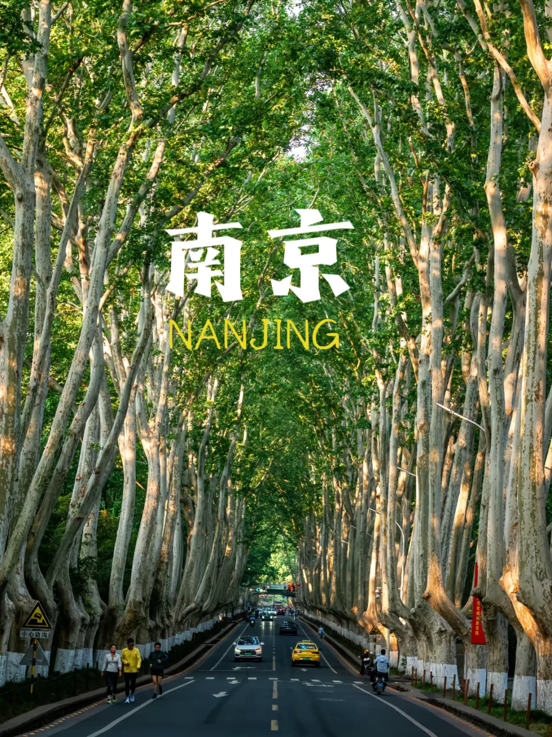 9-10🈷️超适合出行旅游的城市❗码住