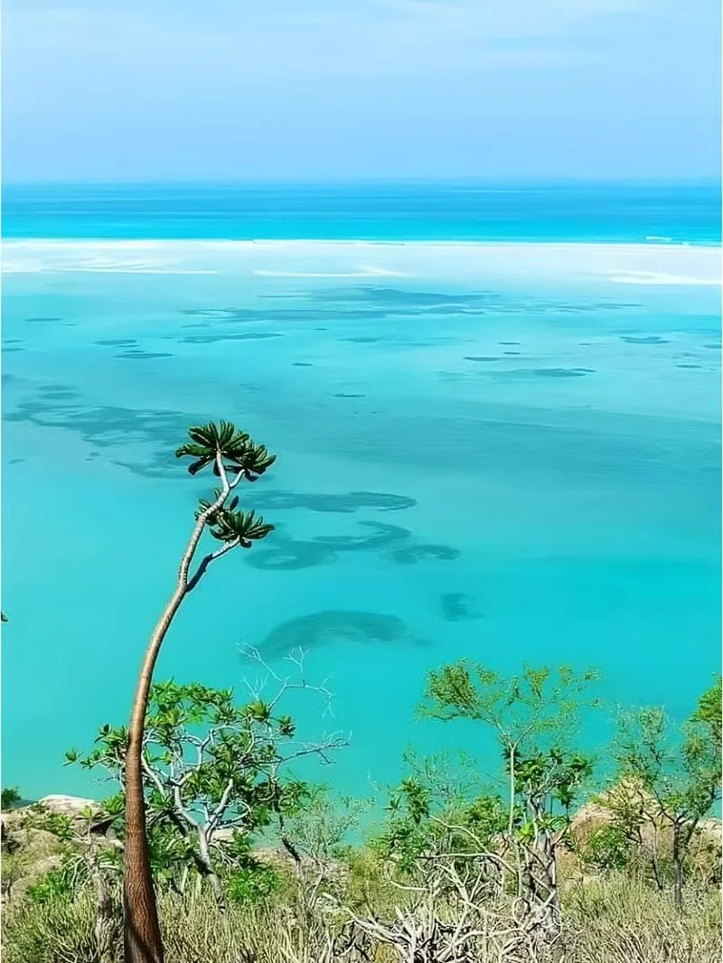 索科特拉群岛：地球上的外星世界