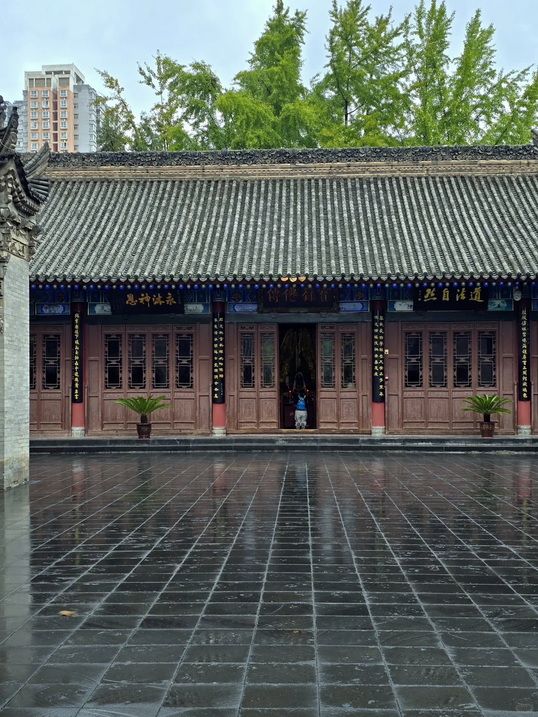 🌿西安闹市区人少景美的八仙庵