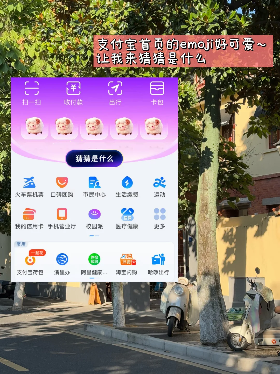 清华物理｜求一键重启国庆教程（南京旅游版🦋