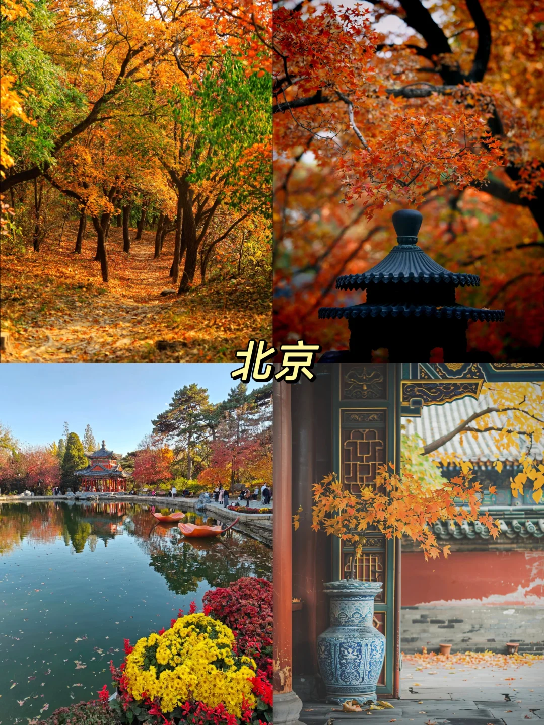 国内秋天必去8大旅游地攻略！